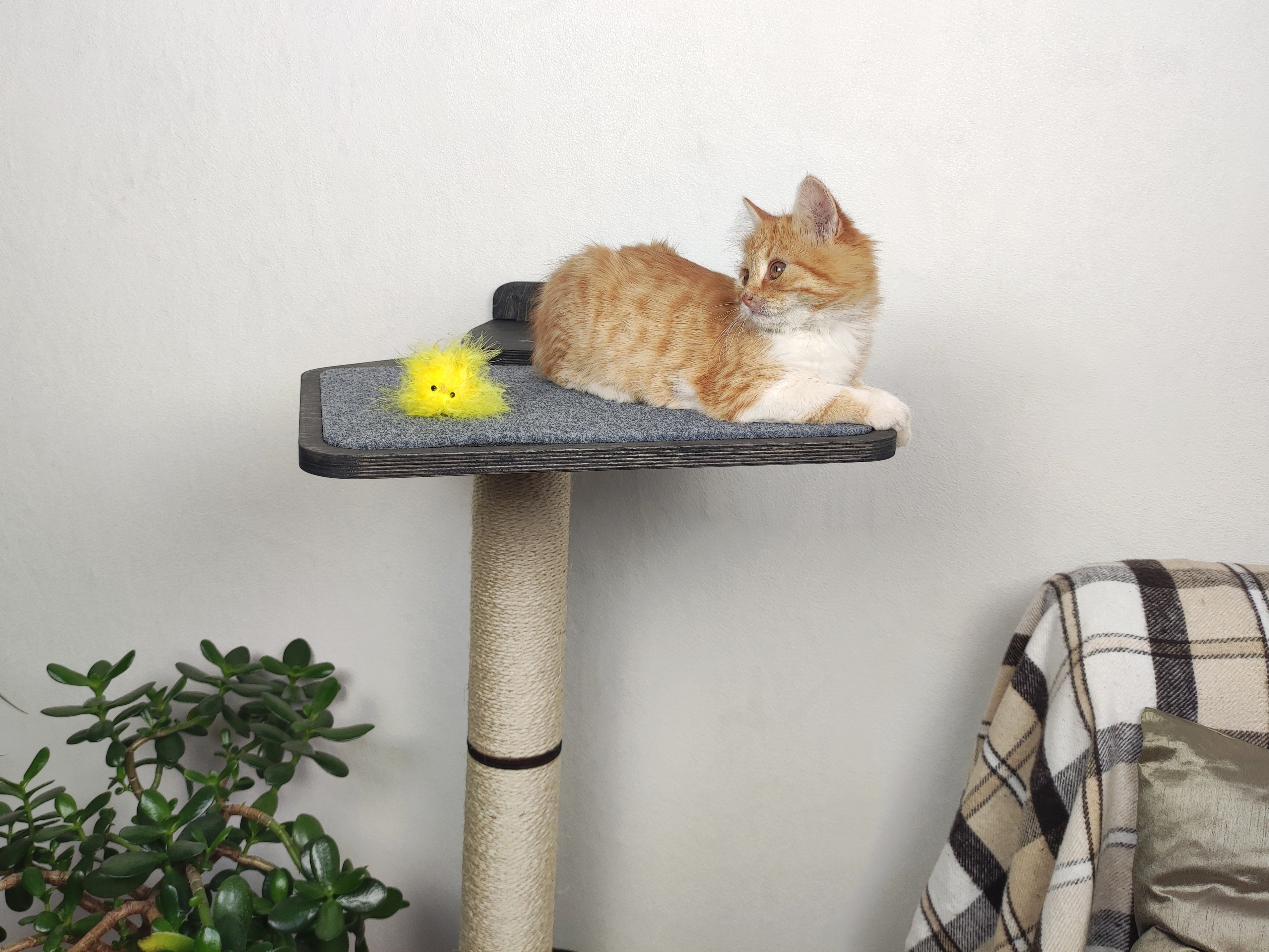 Cat Wall Scratcher Post (Wall-mounted)
