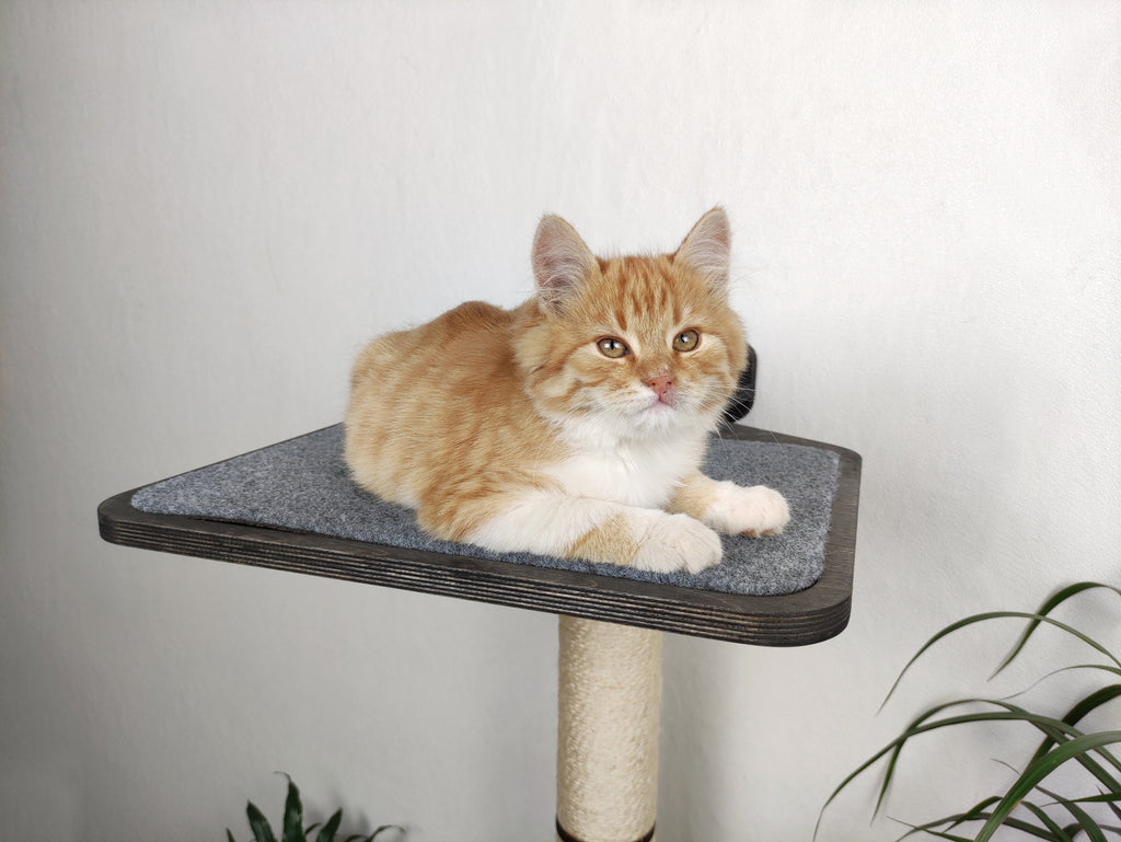 Cat Wall Scratcher Post (Wall-mounted)