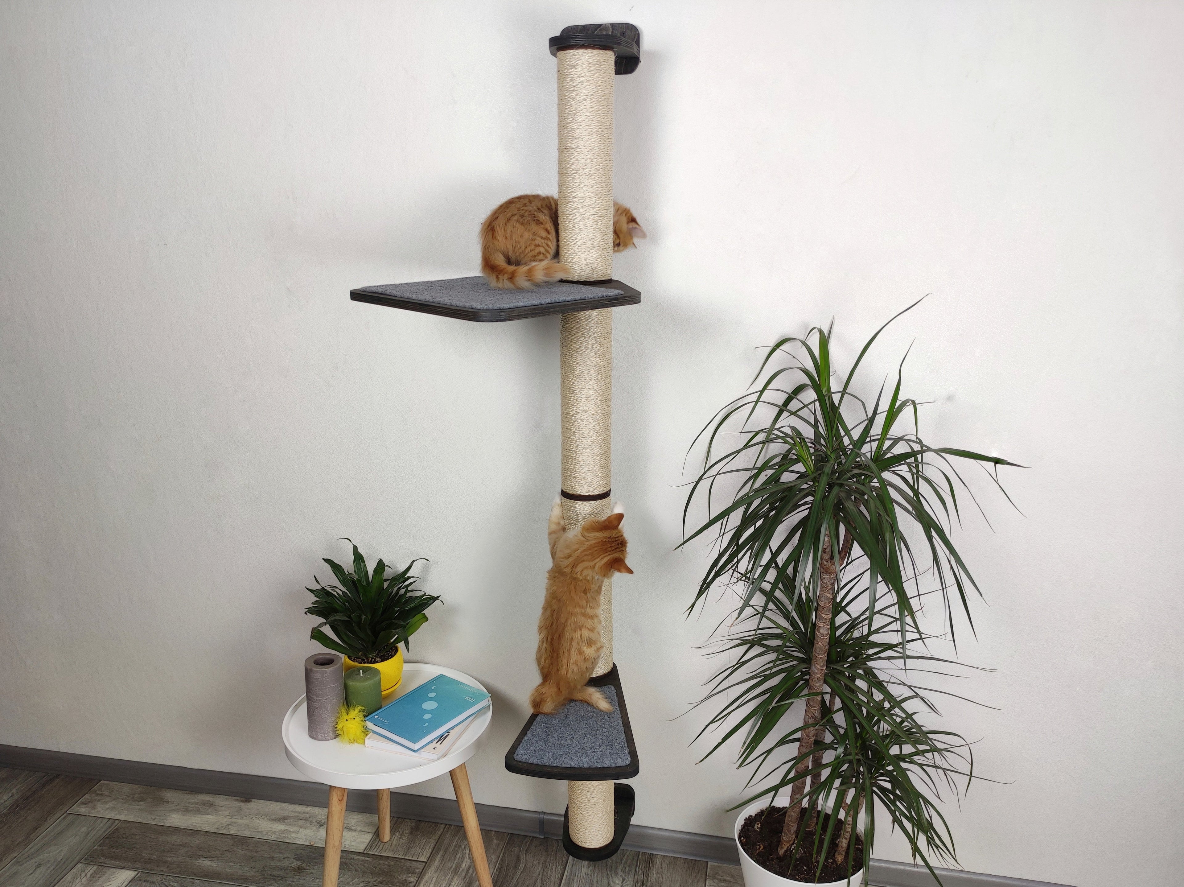 Wall-Mounted Cat Scratcher