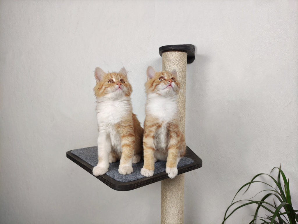 Wall-Mounted Cat Scratcher