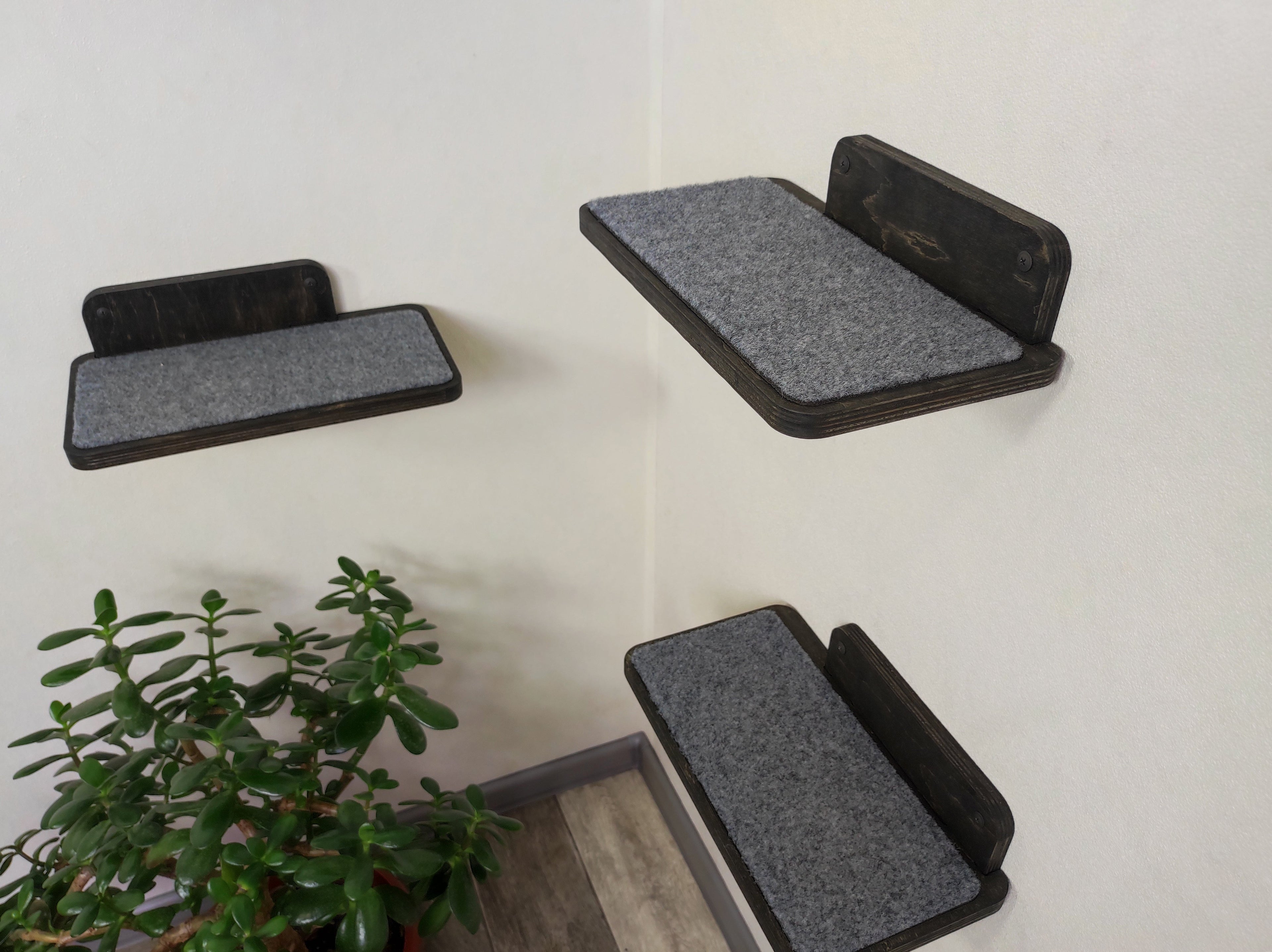 Set of Cat Wall Shelves for Room Corner
