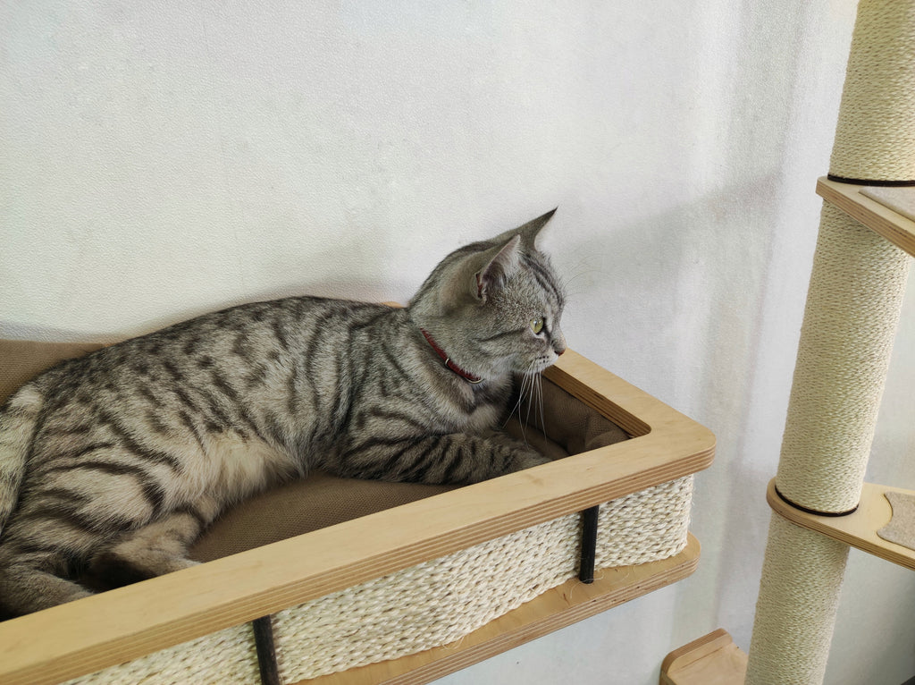 Modern Wall Mounted Cat Bed with Cushion