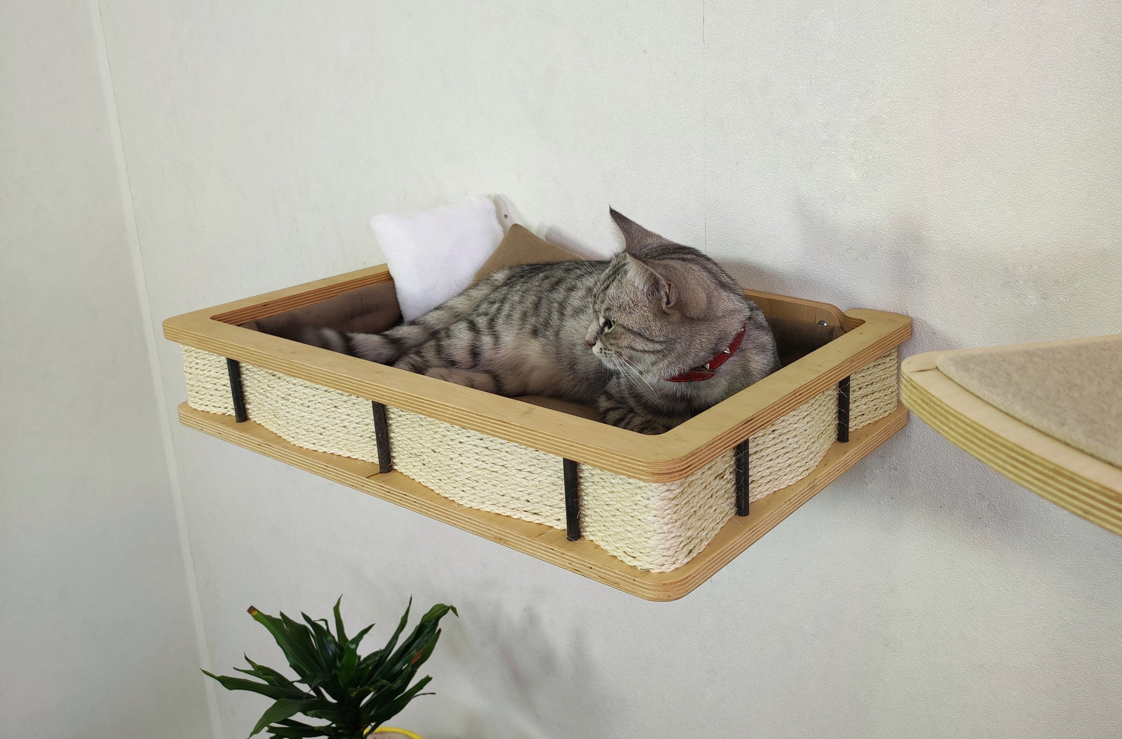Modern Wall Mounted Cat Bed with Cushion