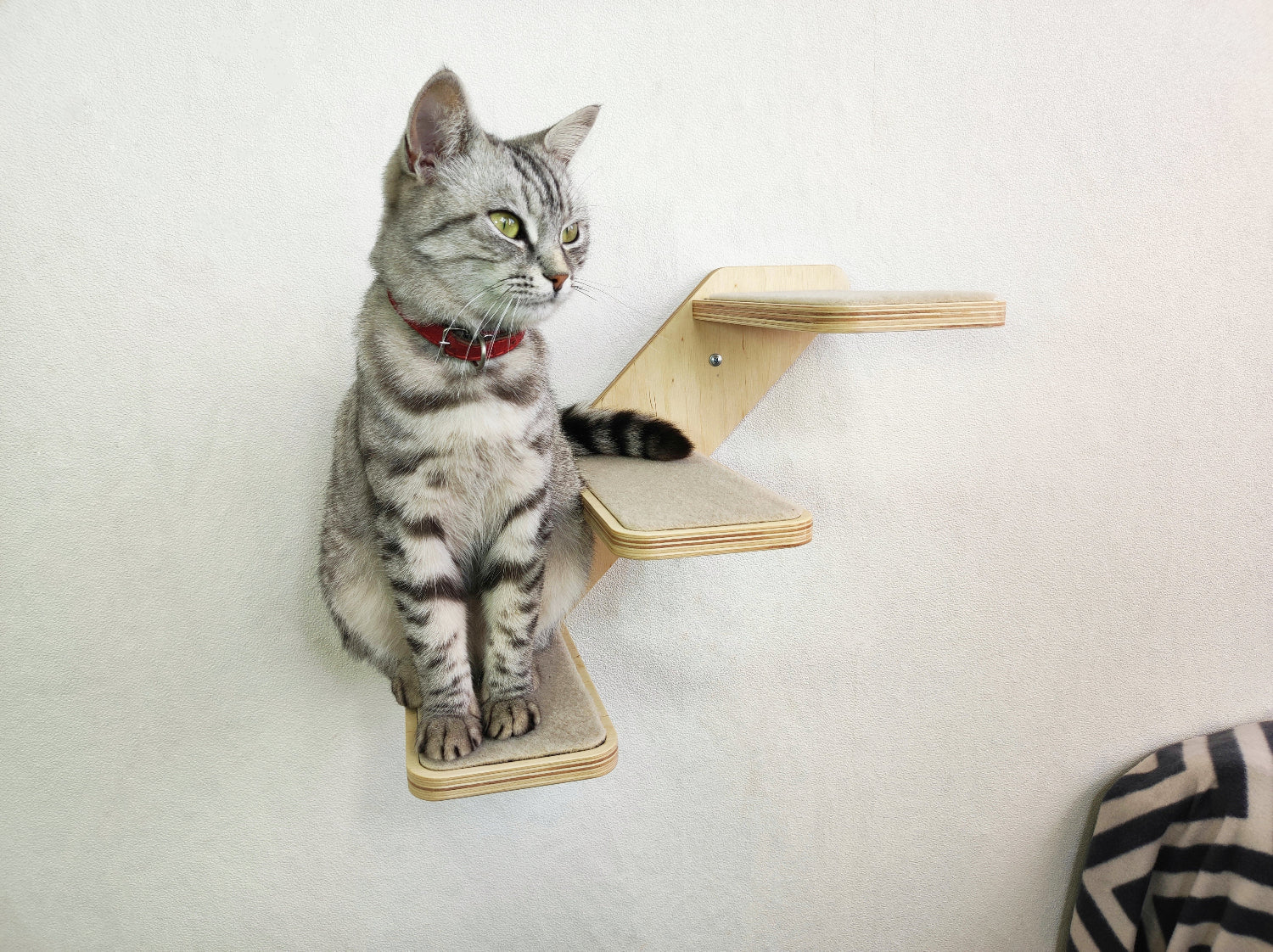 Cat wall ladder with steps