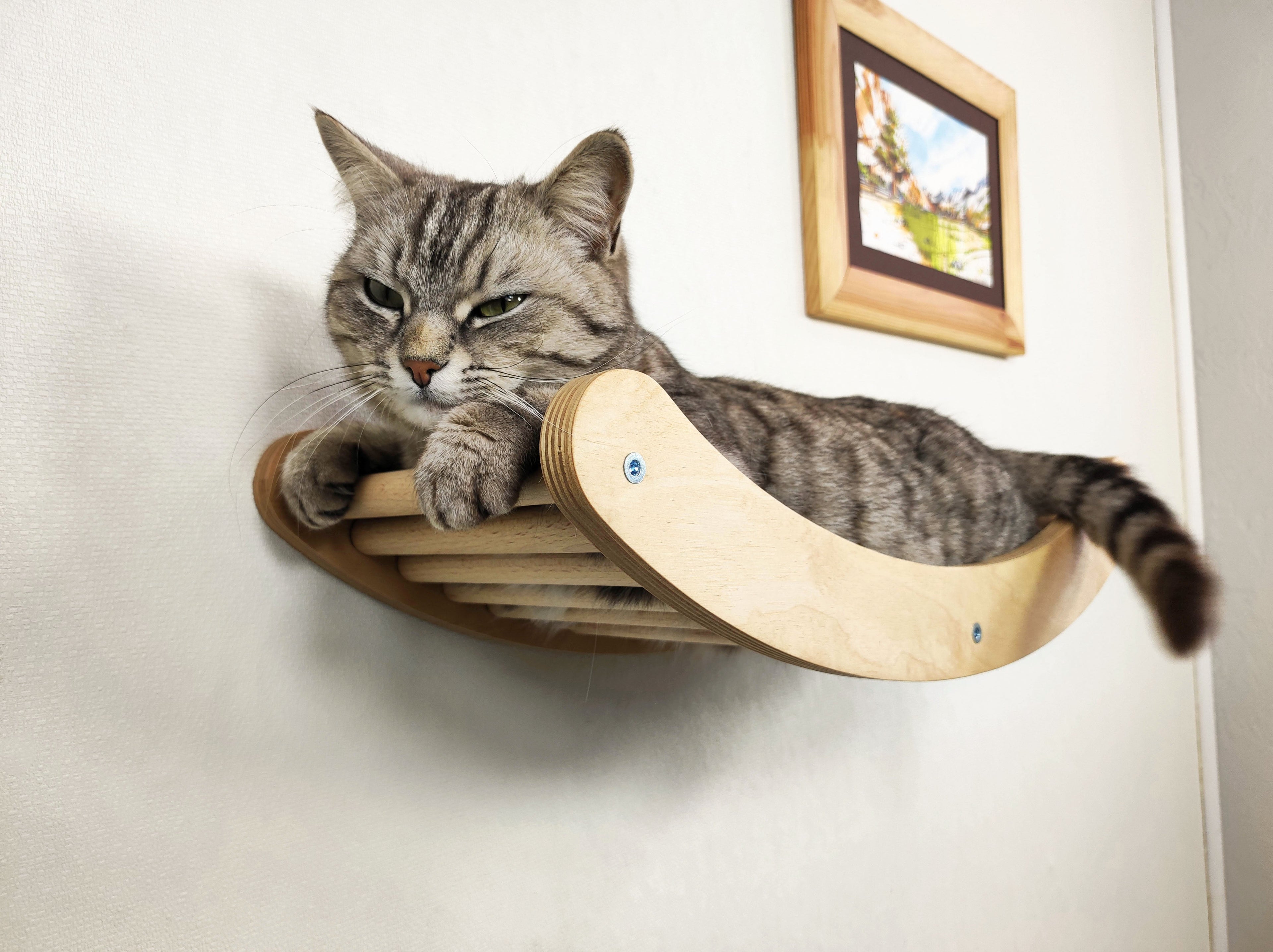Single Wave Cat Climbing Shelf