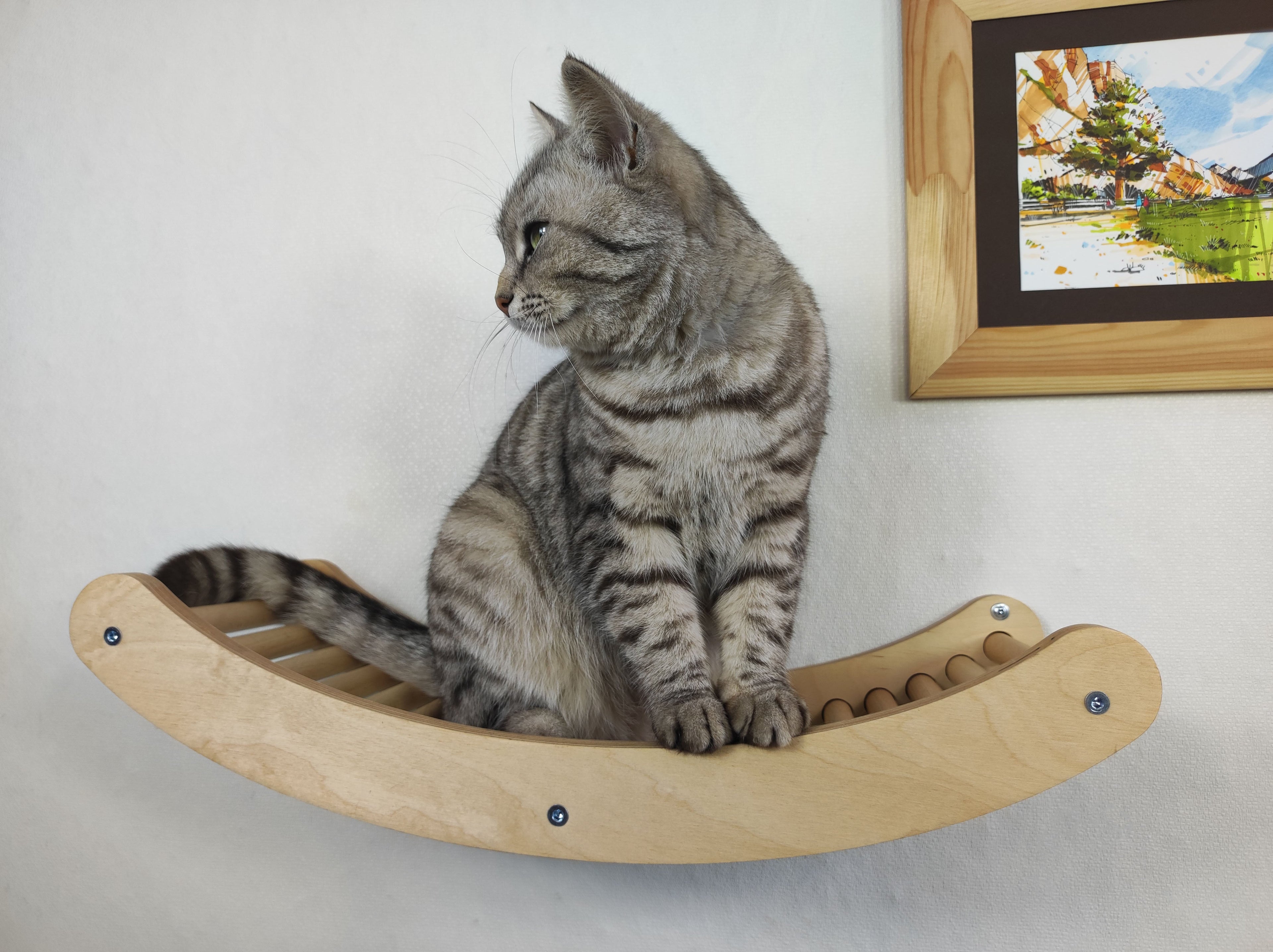 Single Wave Cat Climbing Shelf