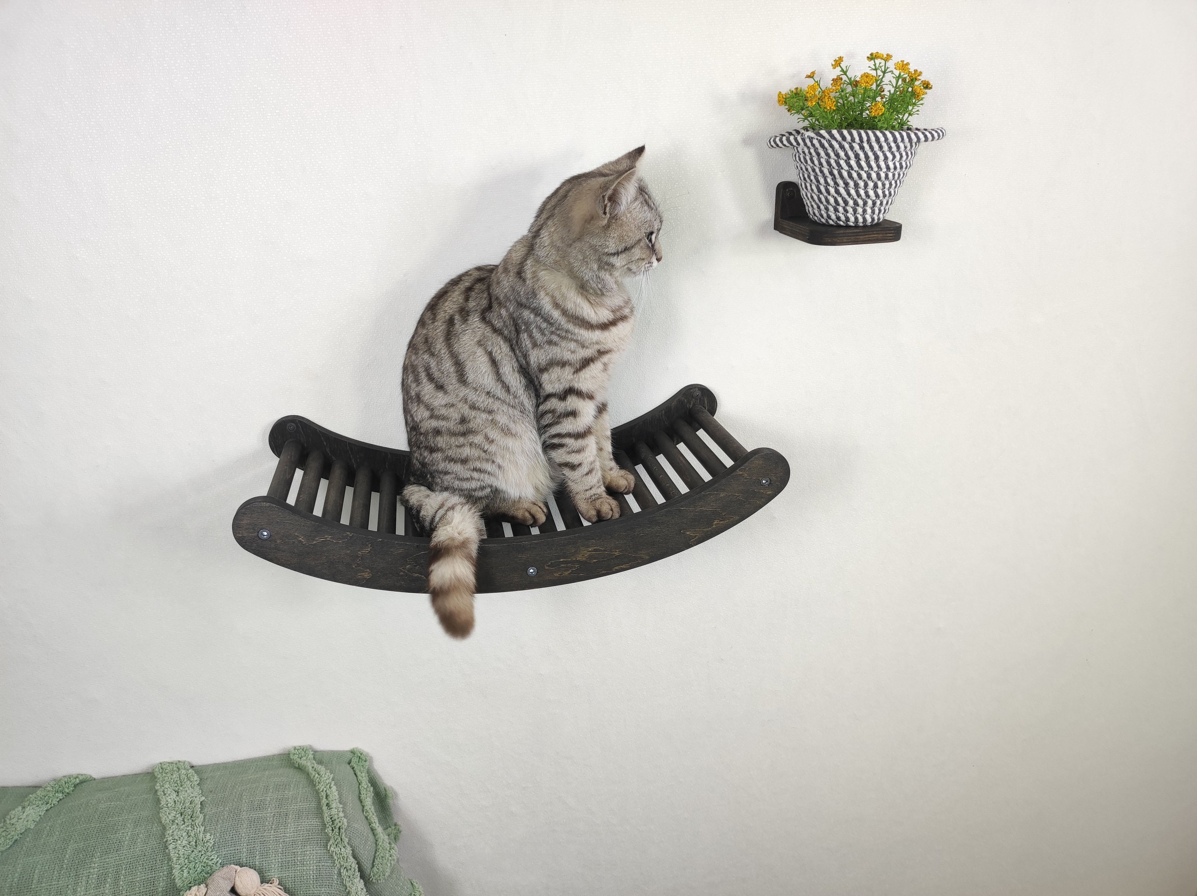 Single Wave Cat Climbing Shelf