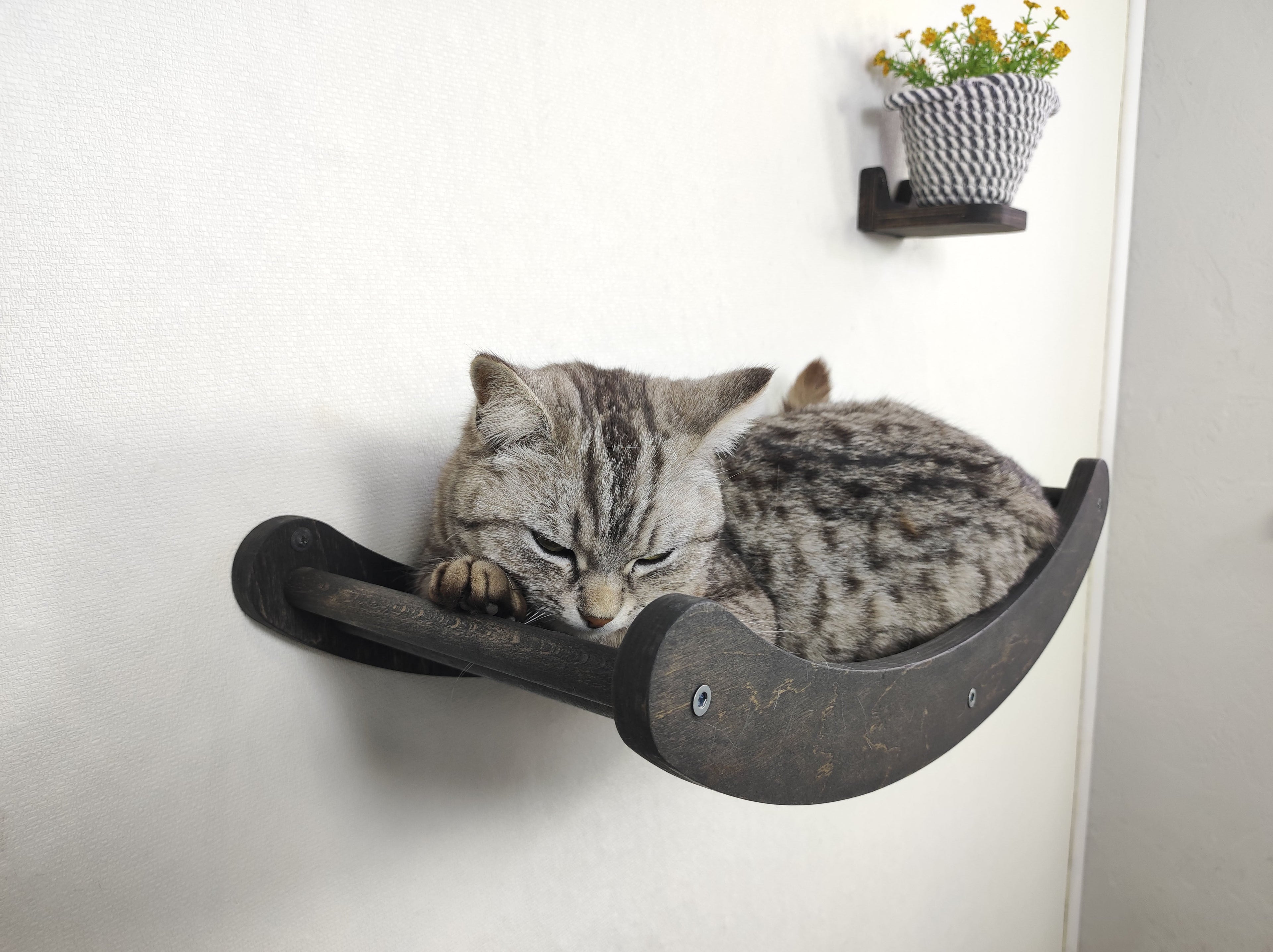 Single Wave Cat Climbing Shelf