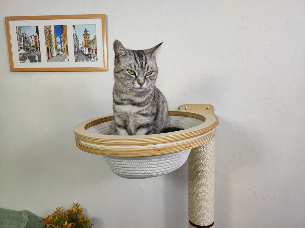 Cat Scratching Post with Round Basket (Cotton & Sisal)