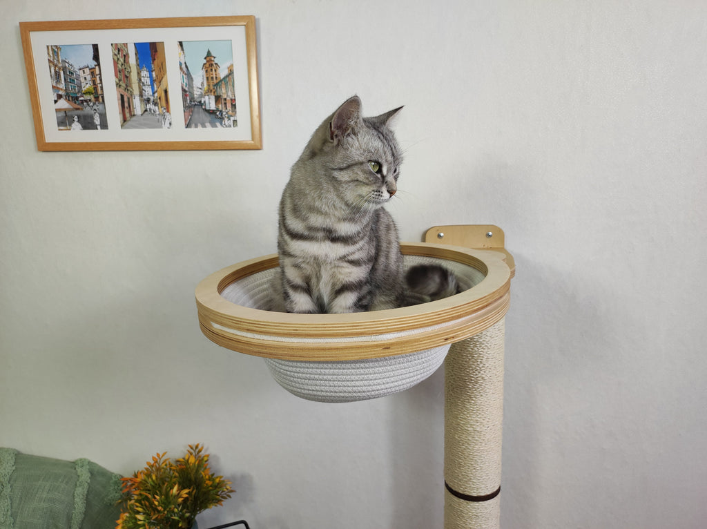 Cat Scratching Post with Round Basket (Cotton & Sisal)