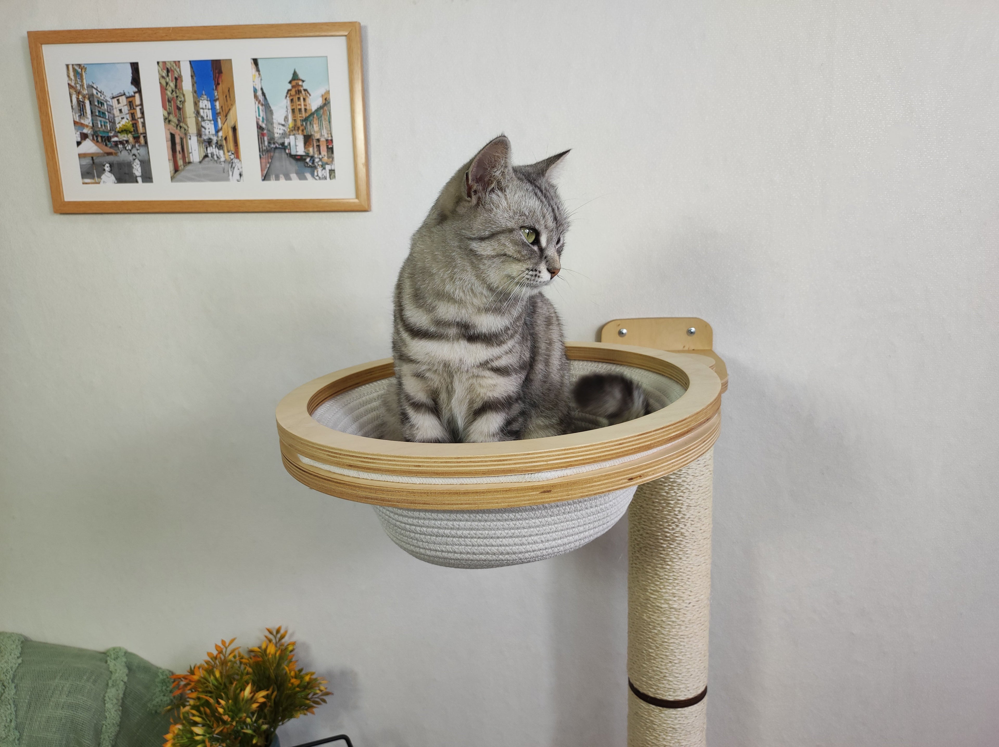 Cat Scratching Post with Round Basket (Cotton & Sisal)
