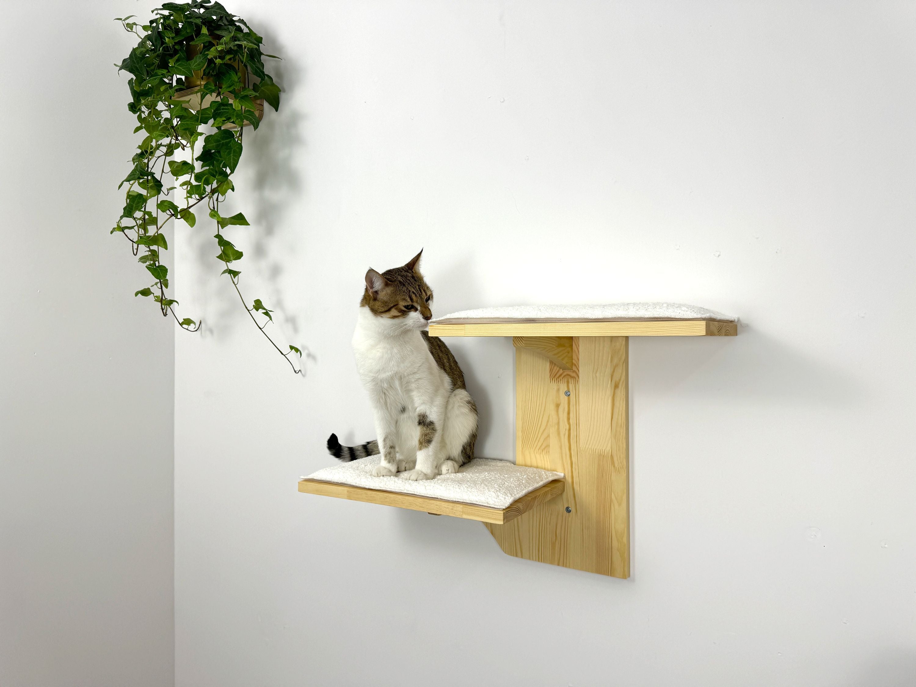 Two-Level Wall Shelf with Soft Cushions