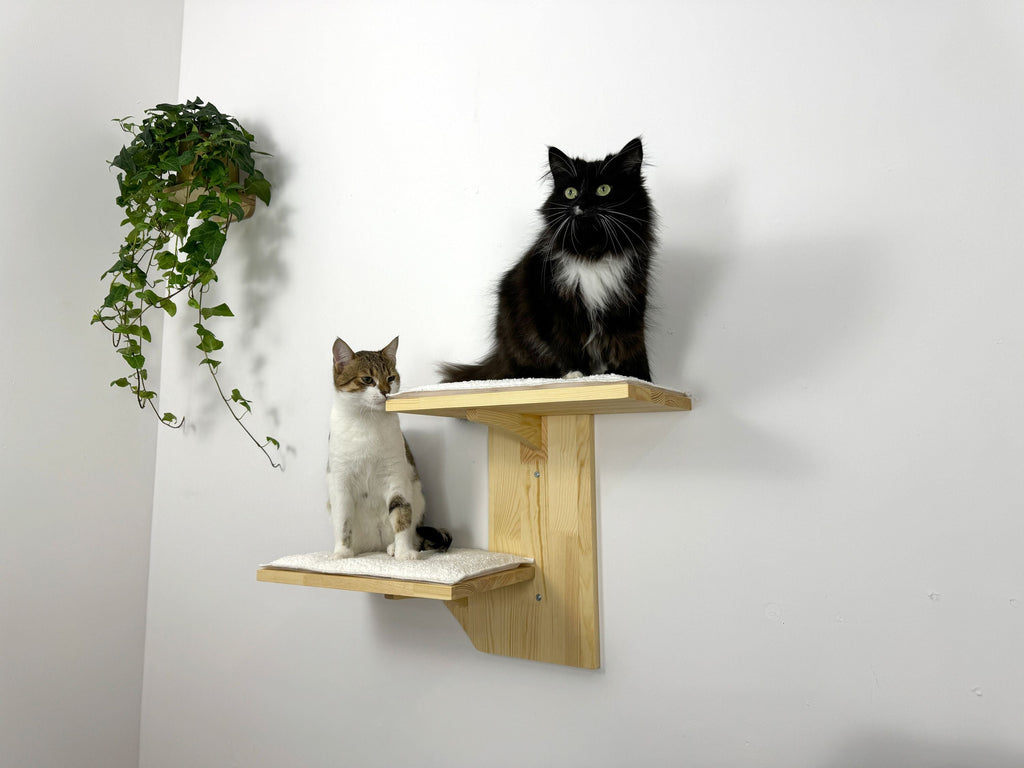 Two-Level Wall Shelf with Soft Cushions
