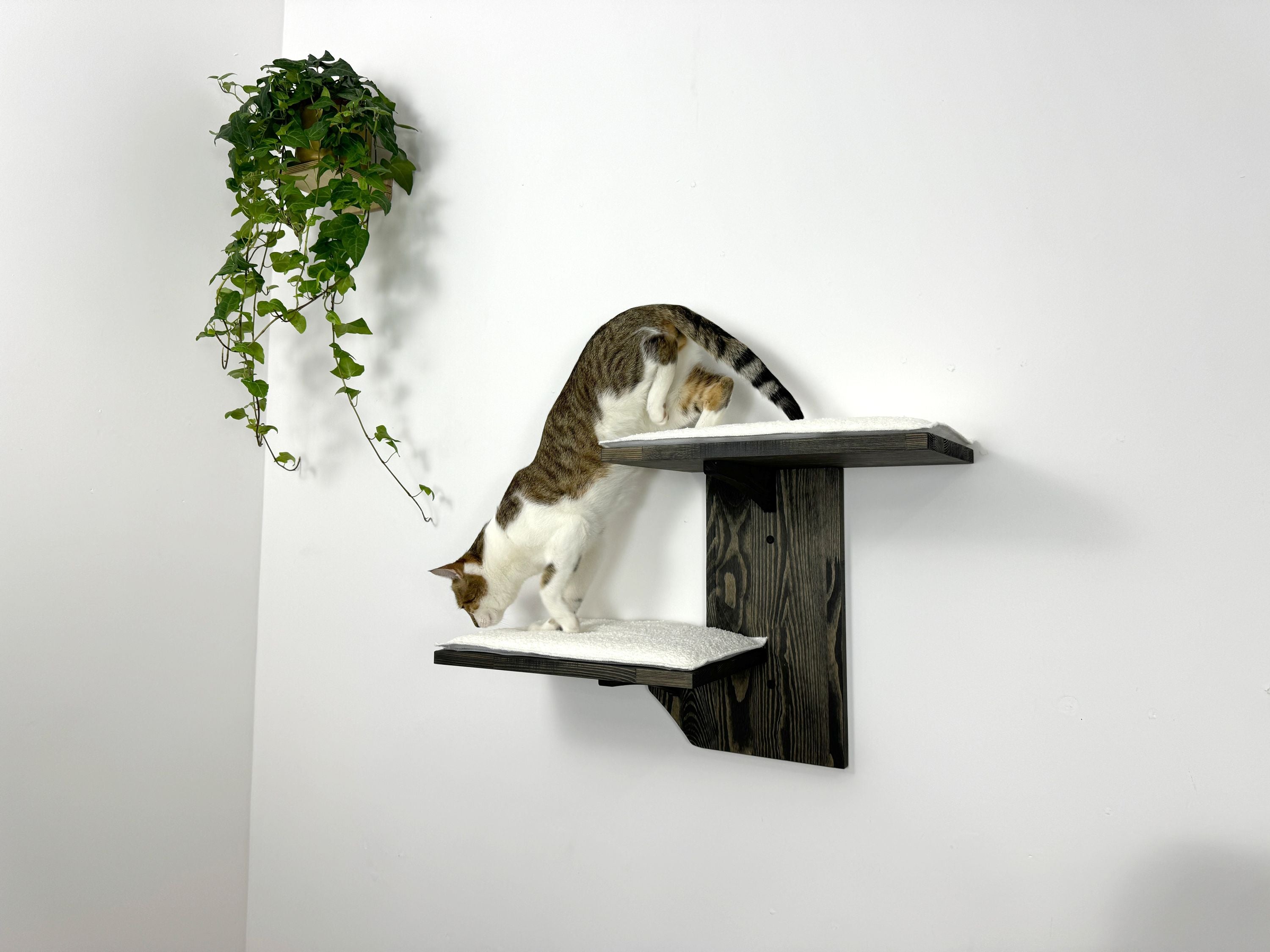 Two-Level Wall Shelf with Soft Cushions