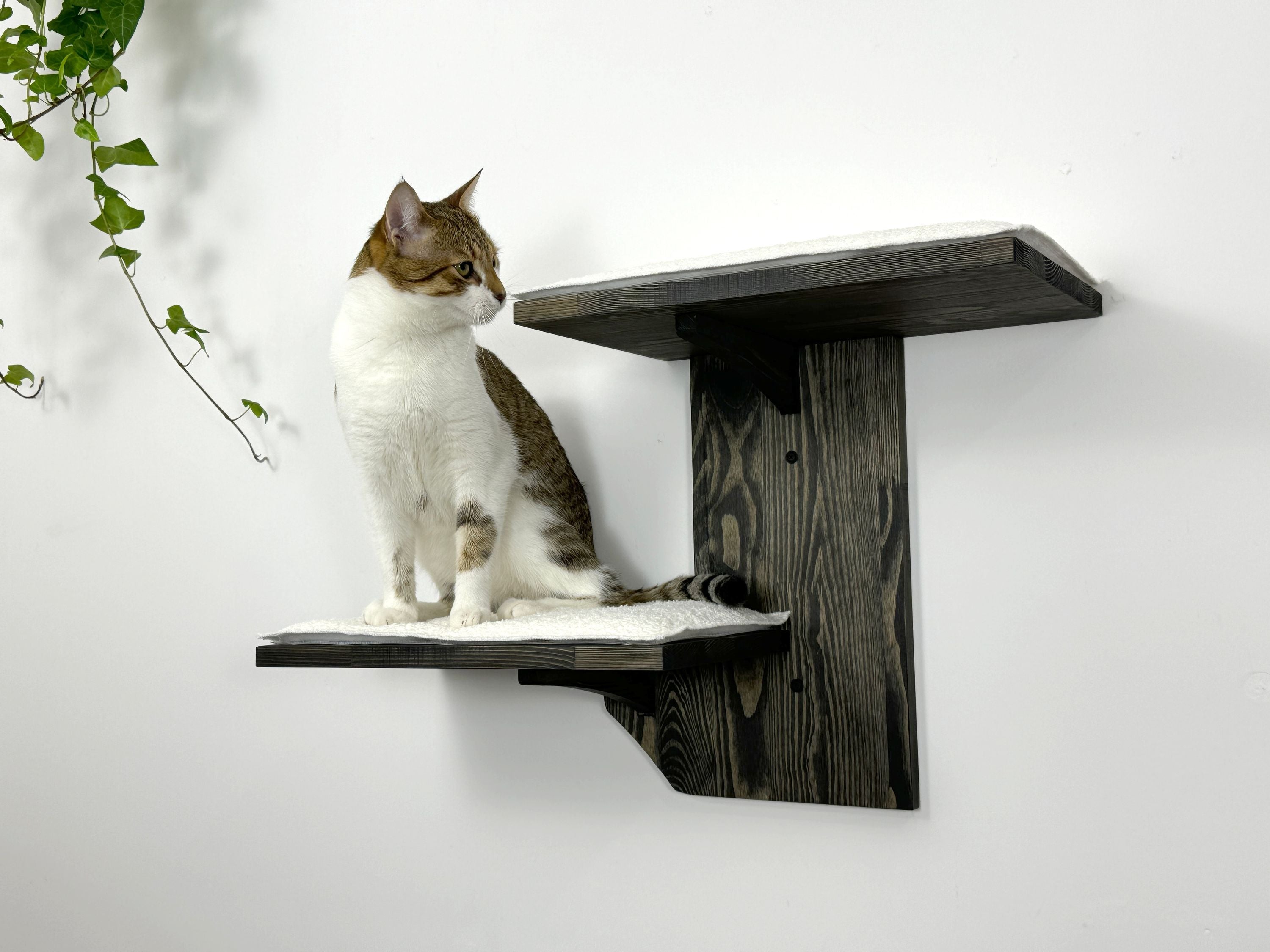 Two-Level Wall Shelf with Soft Cushions