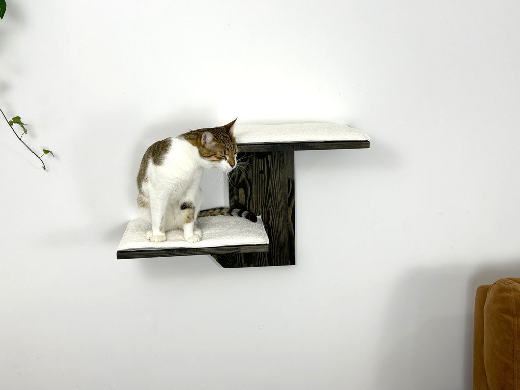 Two-Level Wall Shelf with Soft Cushions