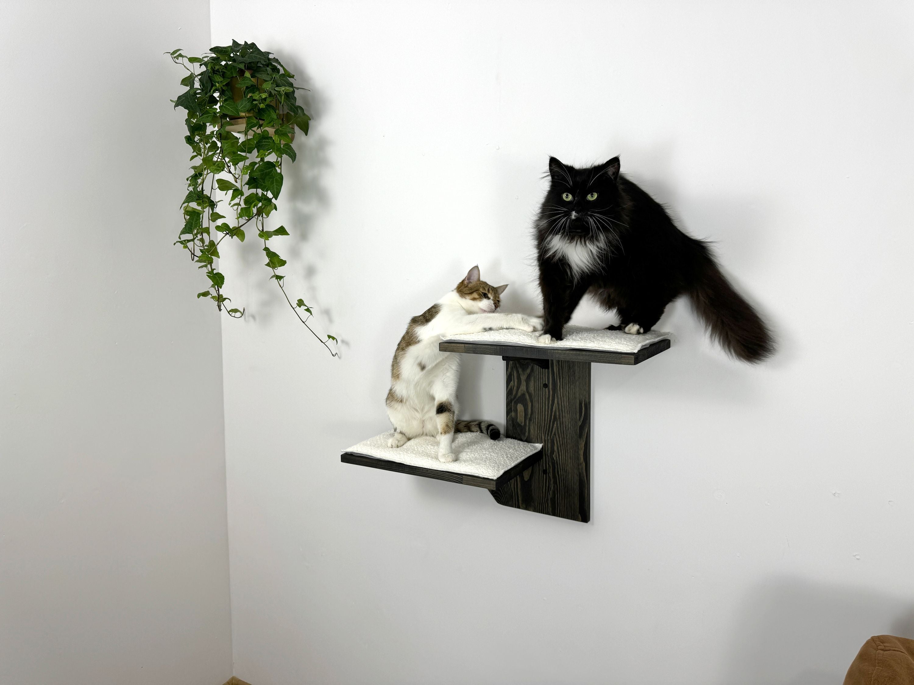 Two-Level Wall Shelf with Soft Cushions
