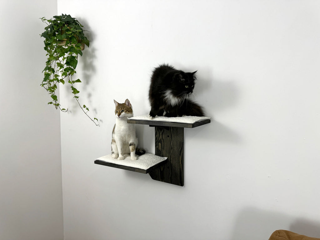 Two-Level Wall Shelf with Soft Cushions