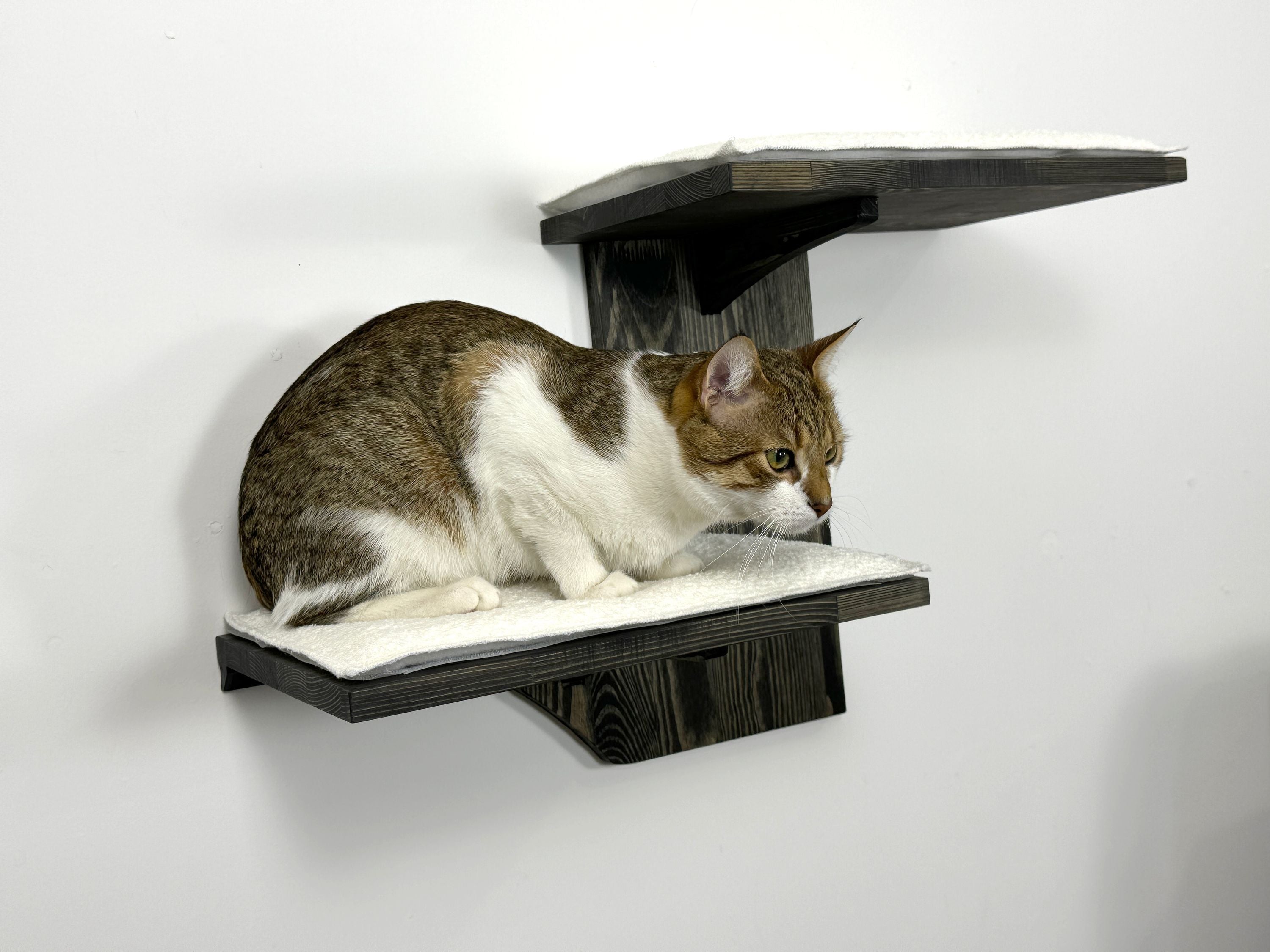 Two-Level Wall Shelf with Soft Cushions