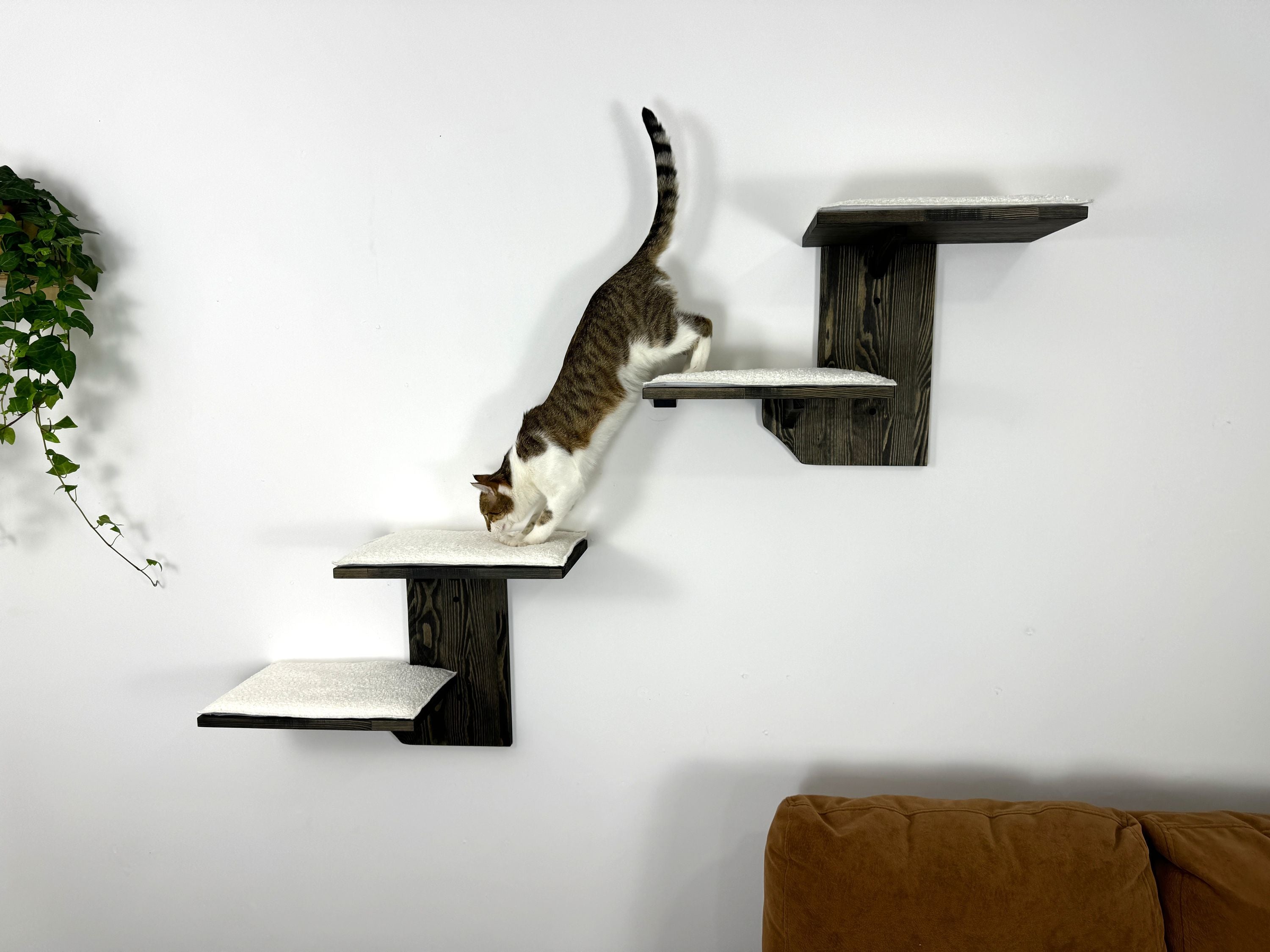 Set of Two-Level Wall Shelf with Soft Cushions