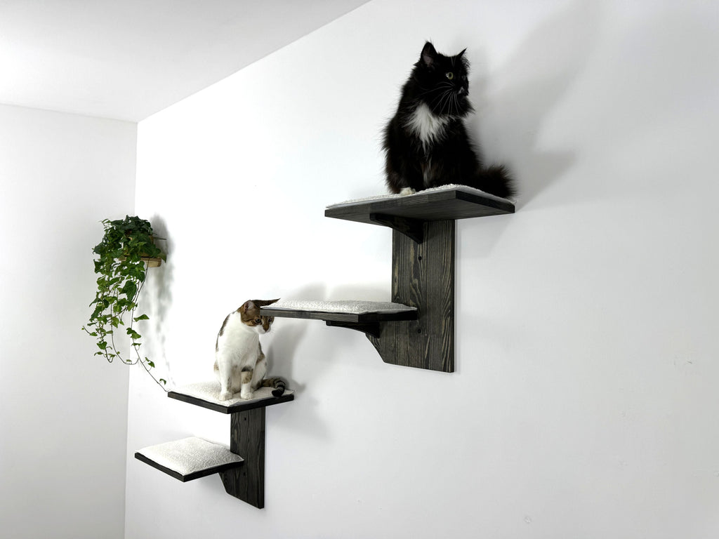 Set of Two-Level Wall Shelf with Soft Cushions