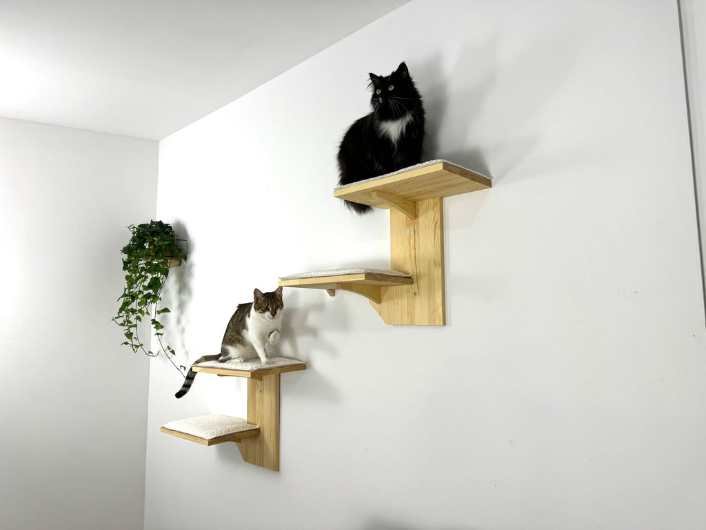 Set of Two-Level Wall Shelf with Soft Cushions
