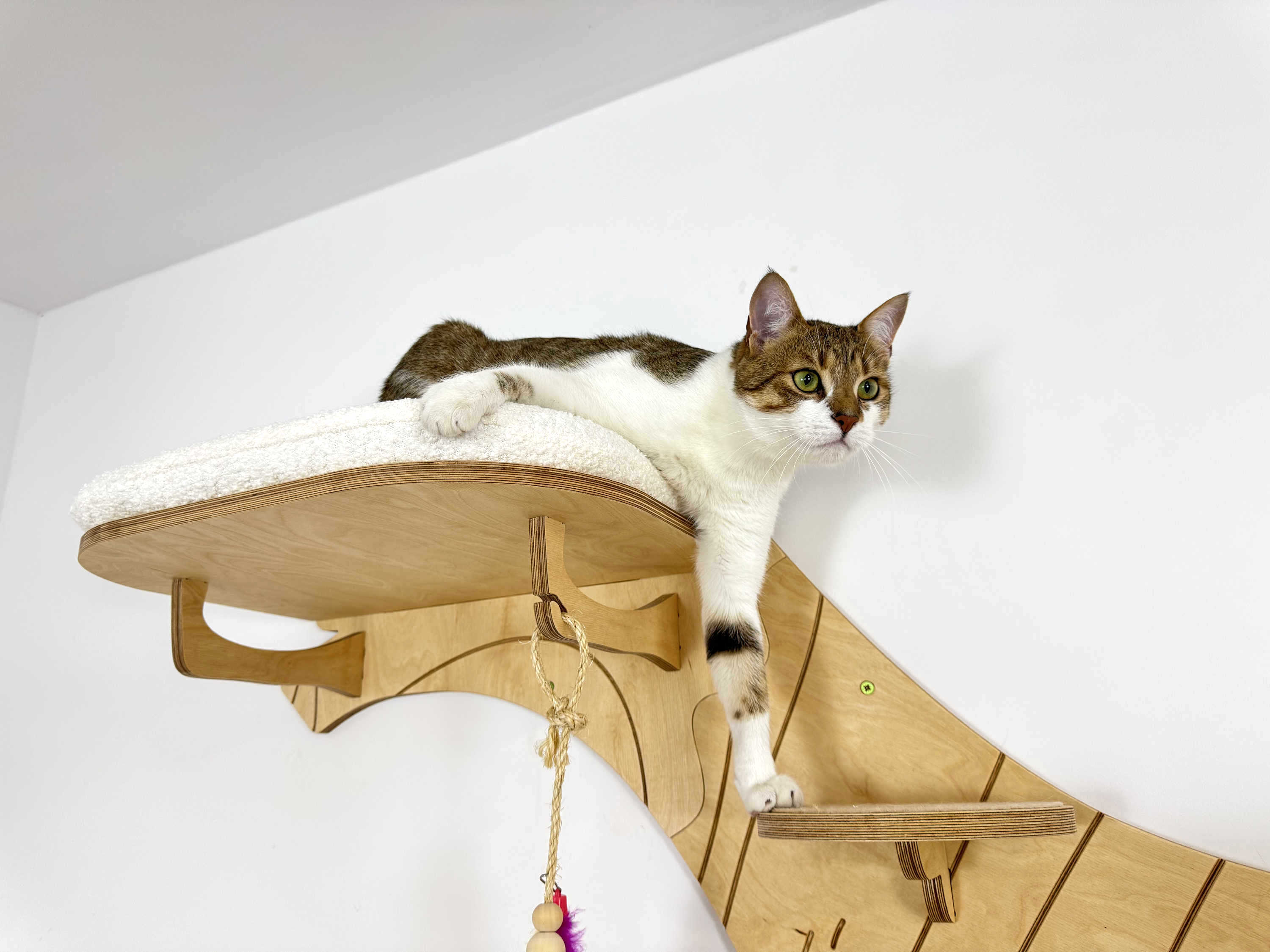Cat Climbing Shelves: Tree with Steps and 3 Beds with Cushions