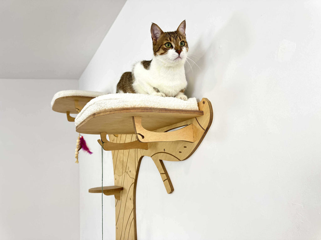 Cat Climbing Shelves: Tree with Steps and 3 Beds with Cushions