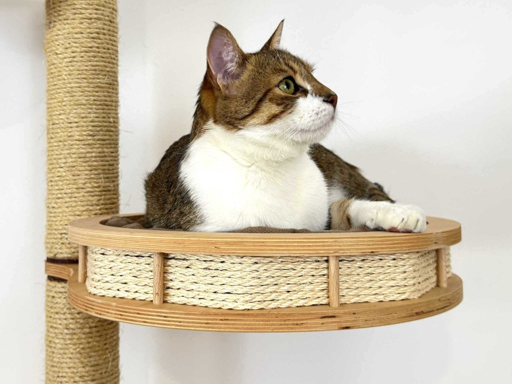 Cat Furniture with Scratching Posts, Rotating Shelves & Cozy Pads