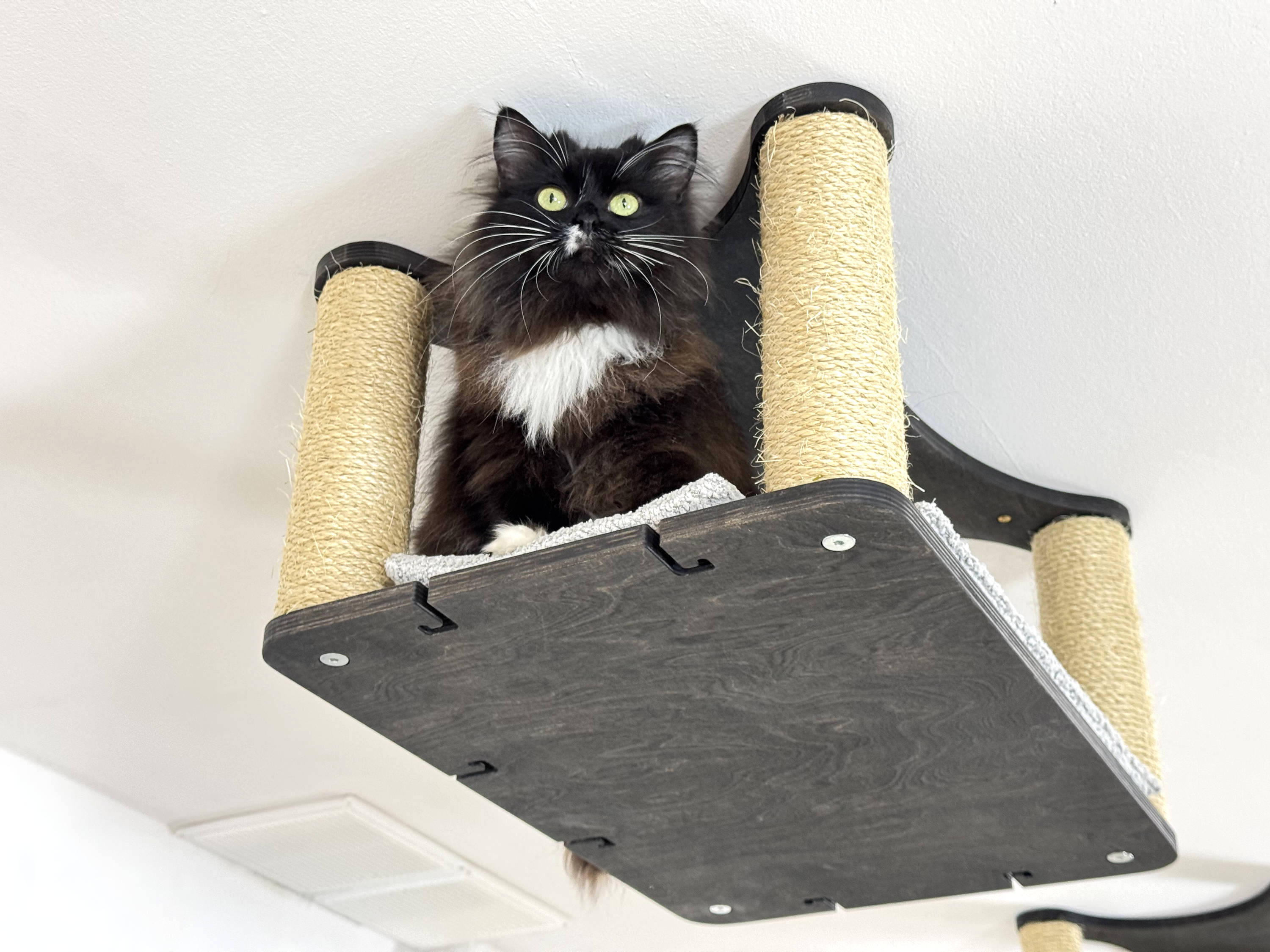 Extended Ceiling Cat Bed with Sisal Columns