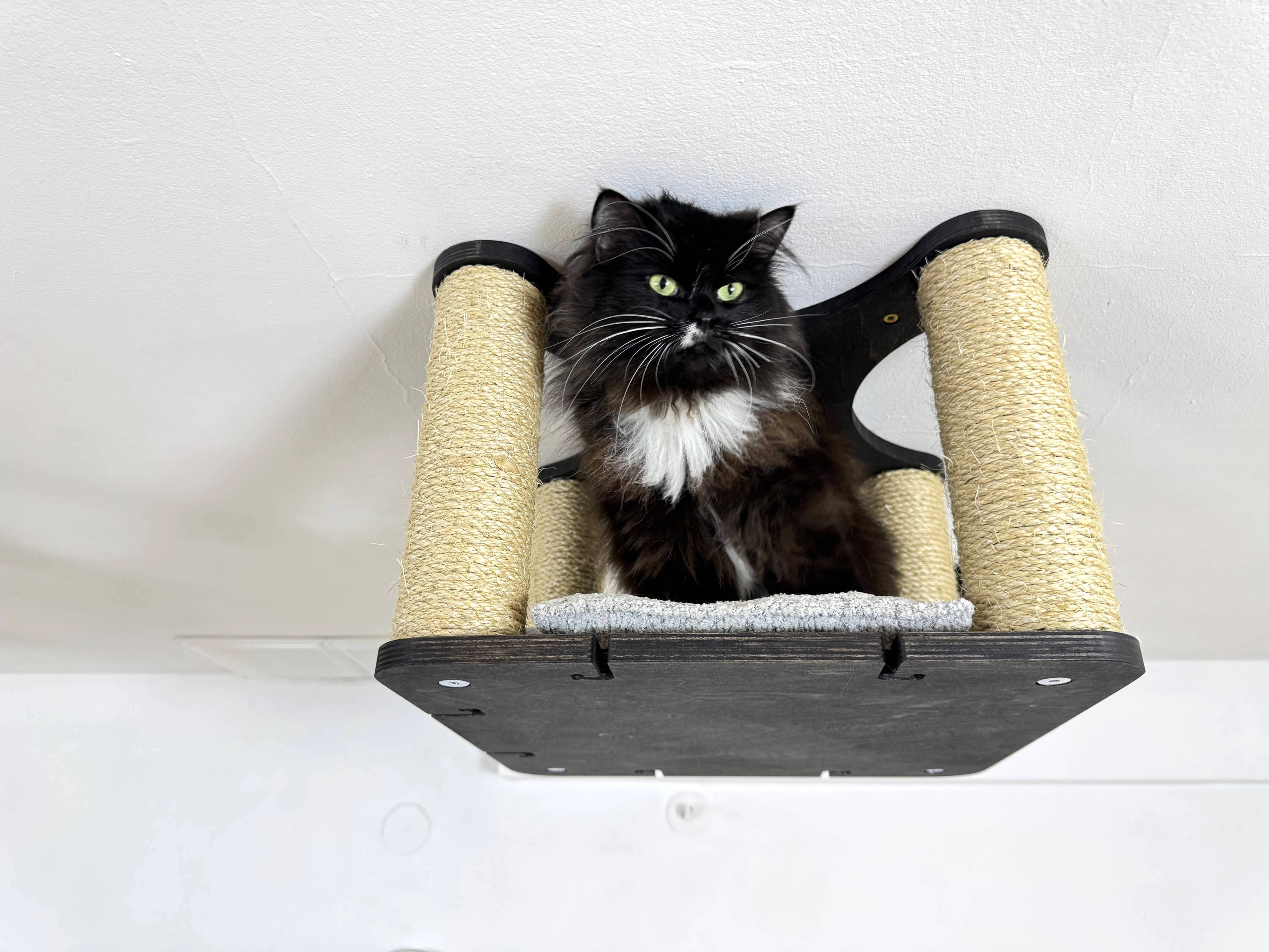 Ceiling Cat Platform with Cushion and 4 Sisal Columns