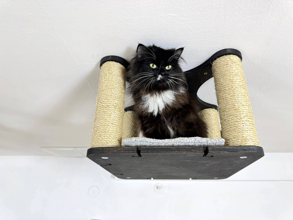 Ceiling Cat Shelf with Sisal Scratchers