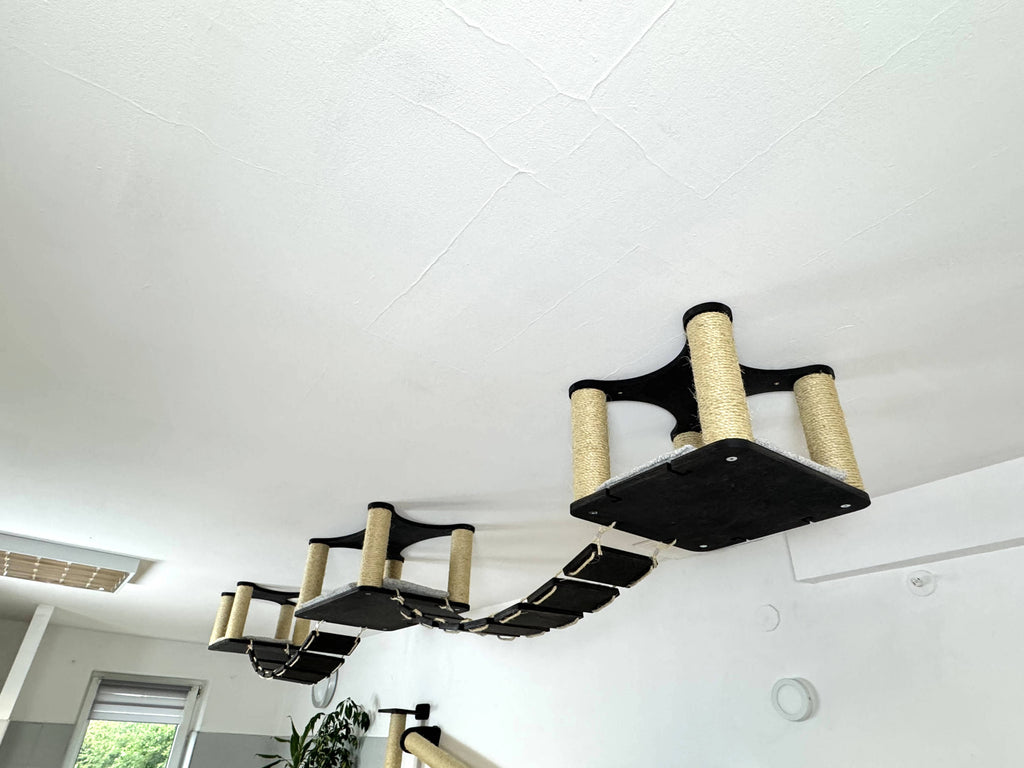 Ceiling Cat Adventure Set �?Shelves & Climbing Bridges