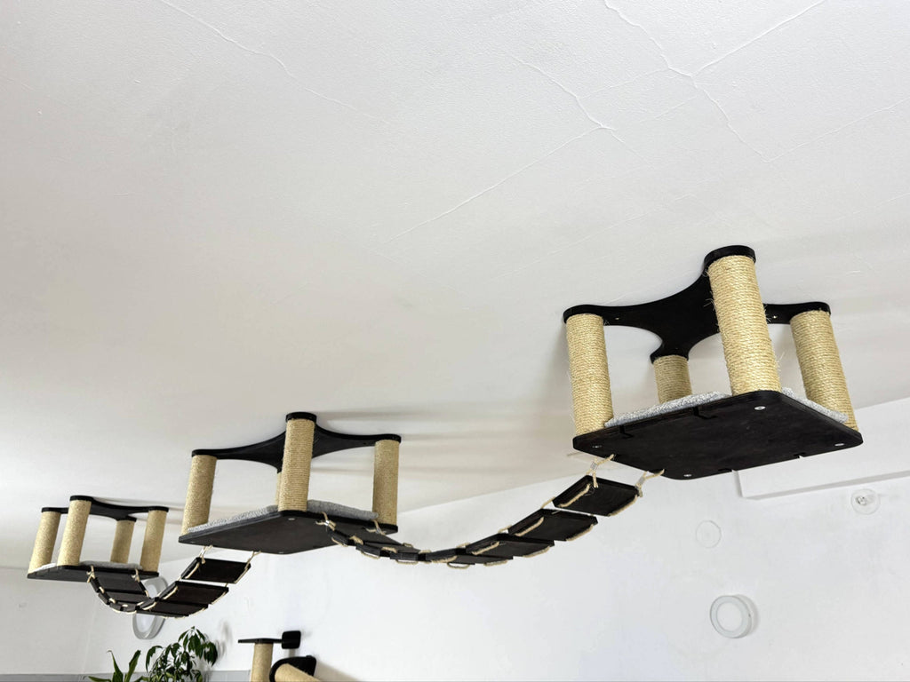 Ceiling Cat Adventure Set �?Shelves & Climbing Bridges
