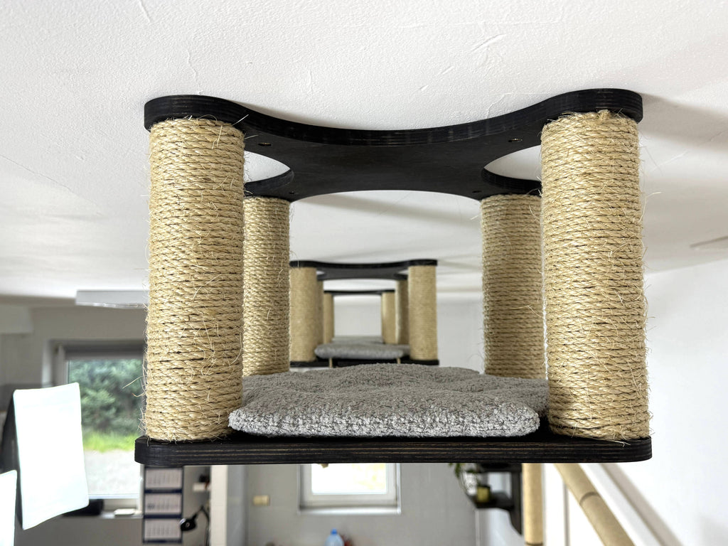 Ceiling Cat Adventure Set �?Shelves & Climbing Bridges