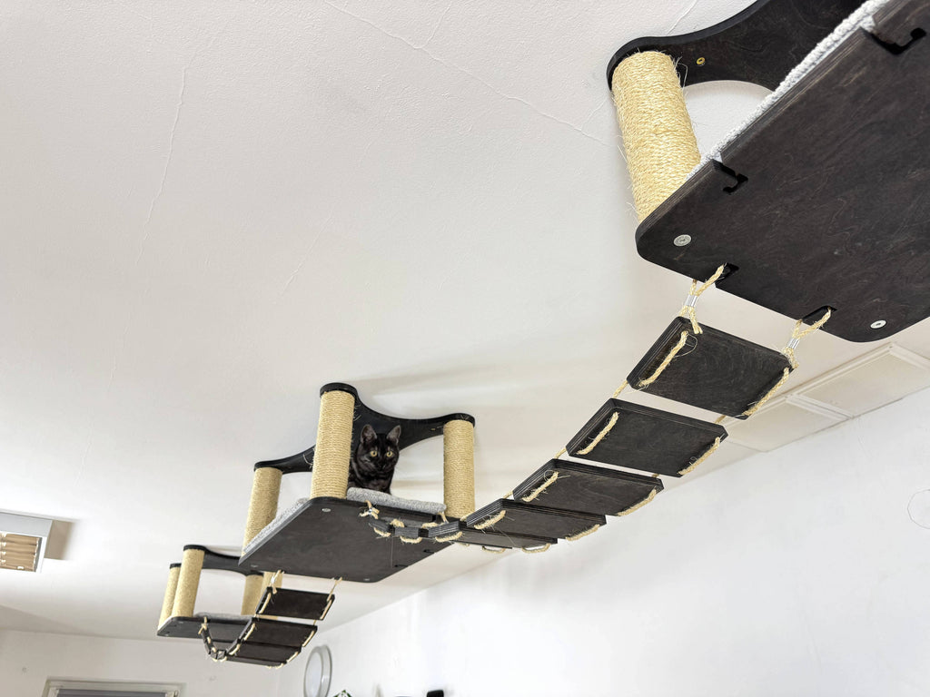 Ceiling Cat Adventure Set �?Shelves & Climbing Bridges