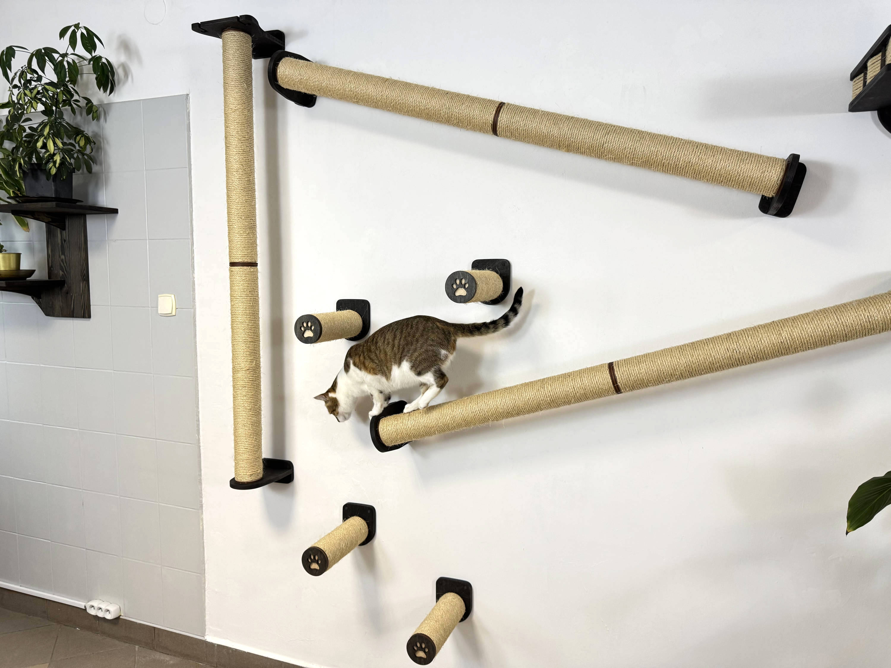 Vertical Cat Play System �C Steps, Shelf & Scratching Posts