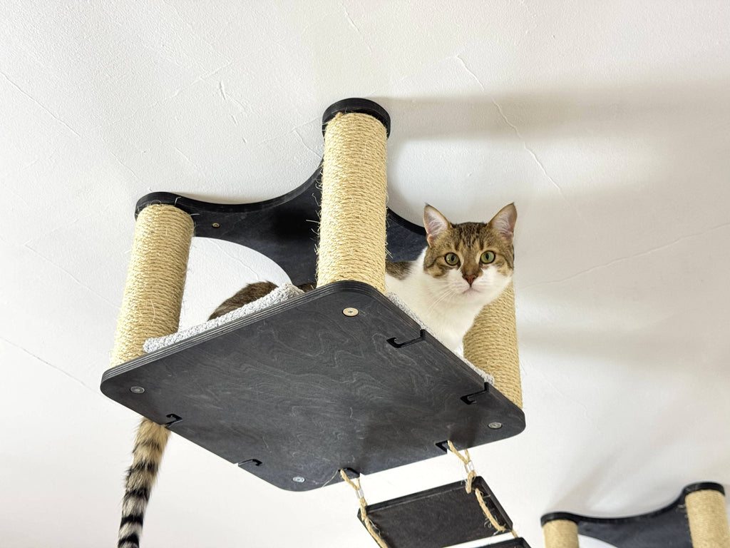 Ceiling Cat Shelf with Sisal Scratchers