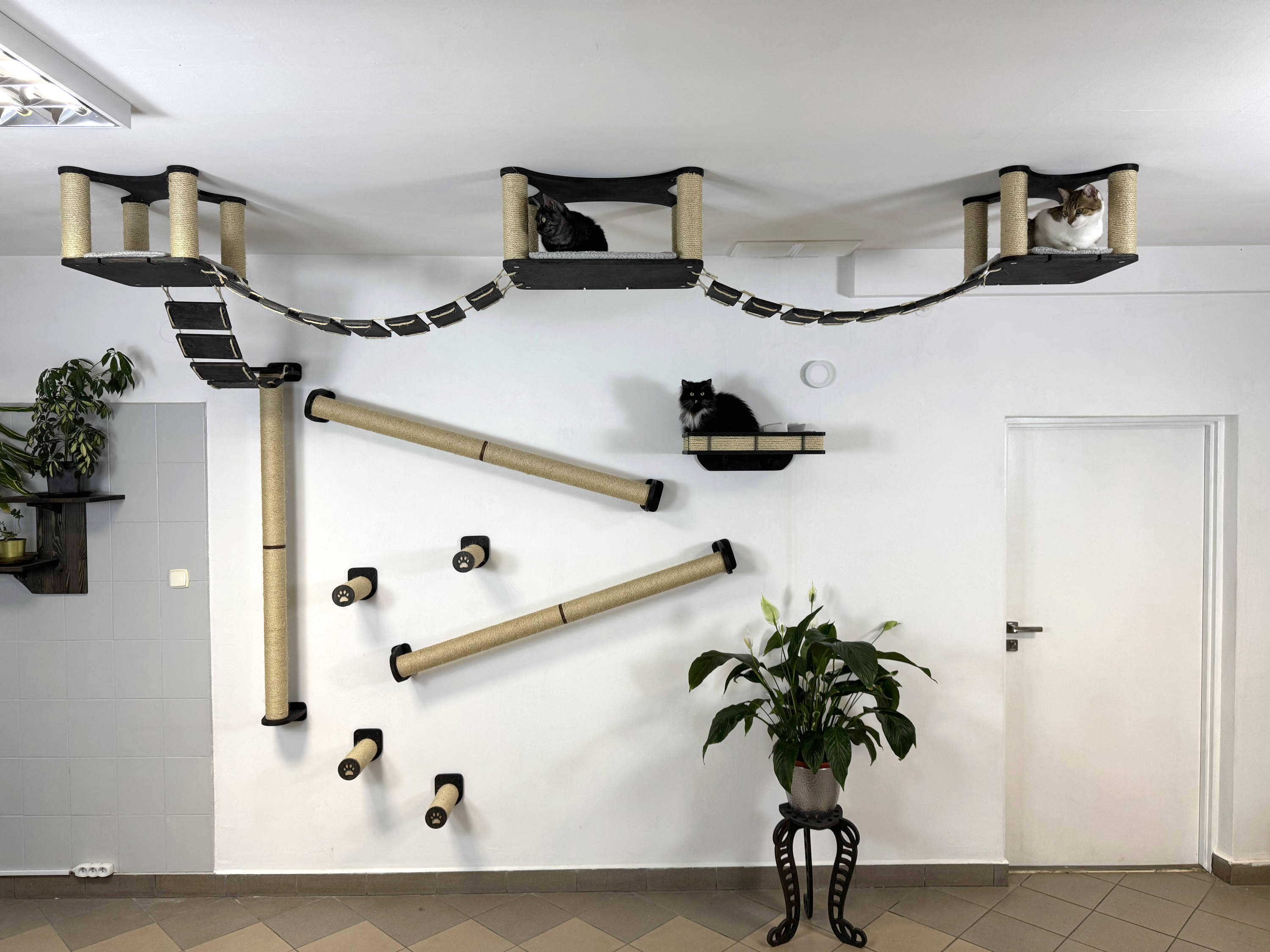Ceiling and Wall Cat Furniture Set with Climbing Posts