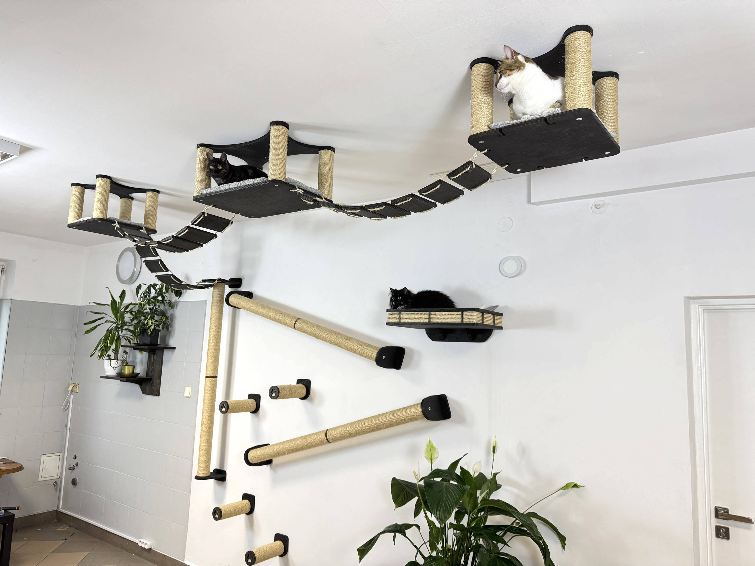 Ceiling and Wall Cat Furniture Set with Climbing Posts