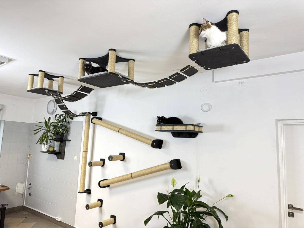 Full Ceiling & Wall Cat System with Climbing Zone