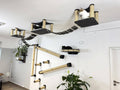 Full Ceiling & Wall Cat System with Climbing Zone