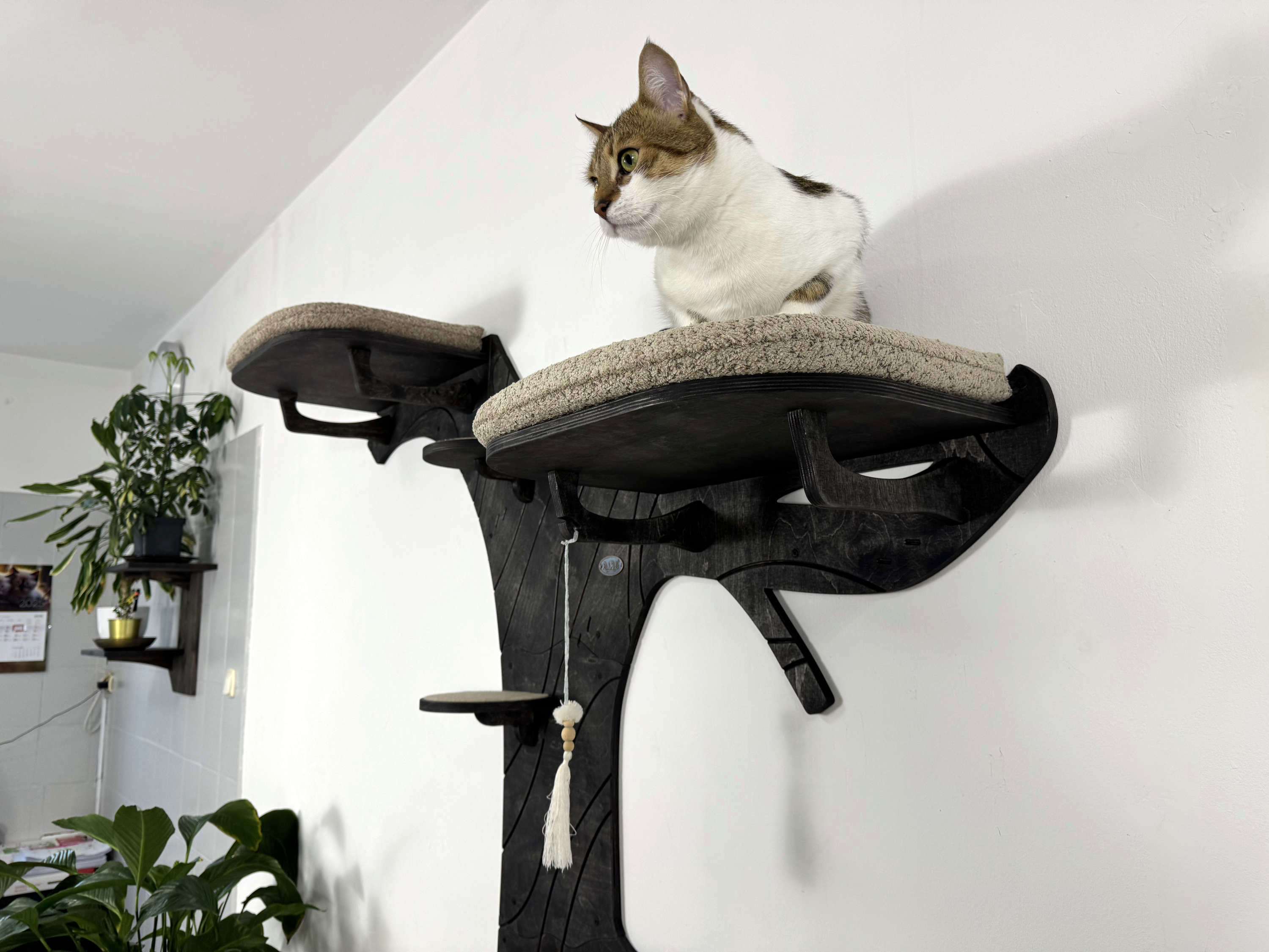 Wall Cat Tree “Forest Dream�?�?Modular Climbing & Lounging System for Cats