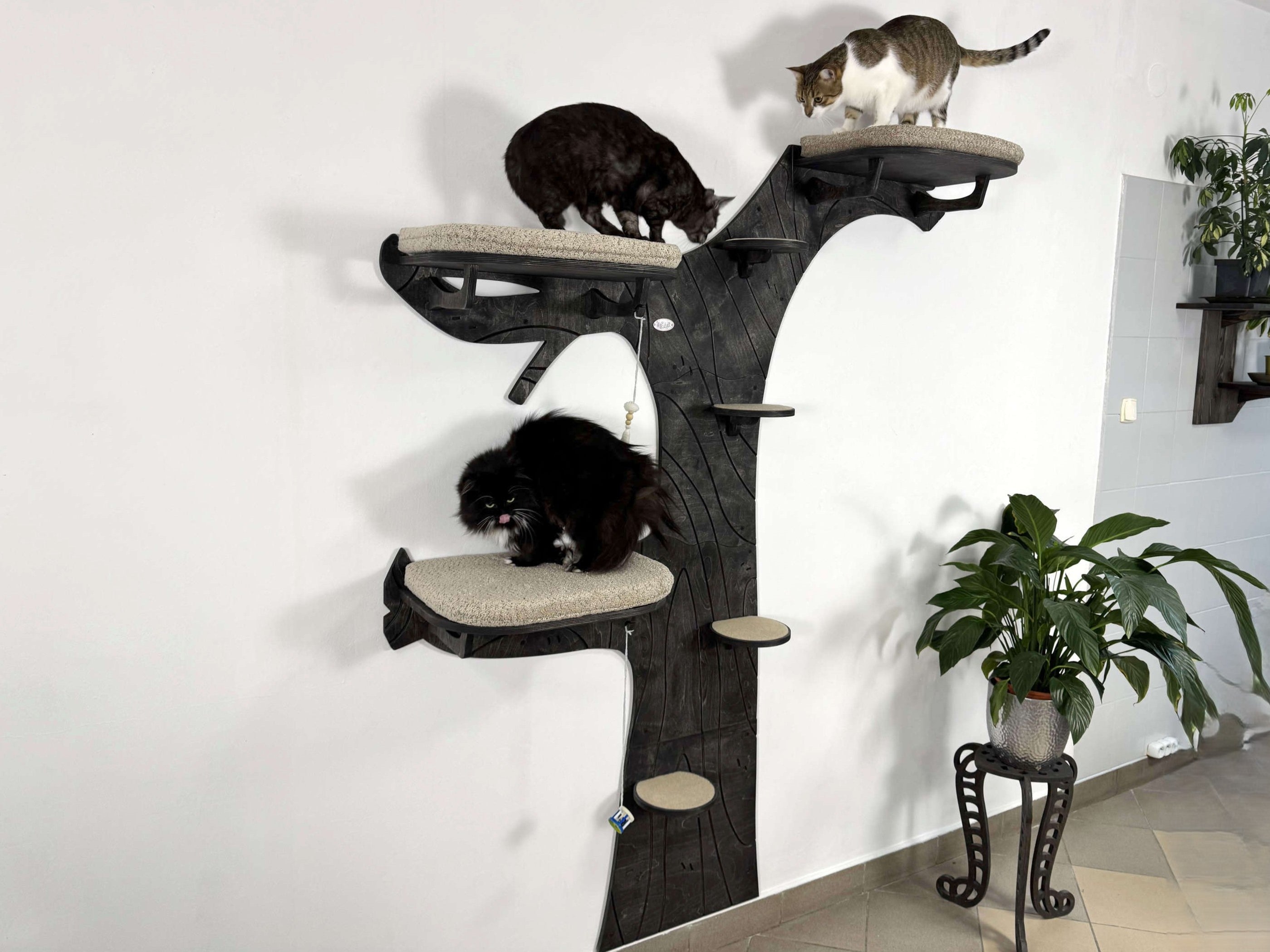 Cat Climbing Shelves: Tree with Steps and 3 Beds with Cushions