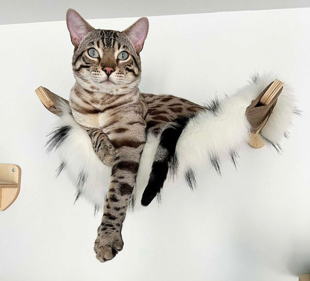 Fabric Wall Mounted Cat Hammock