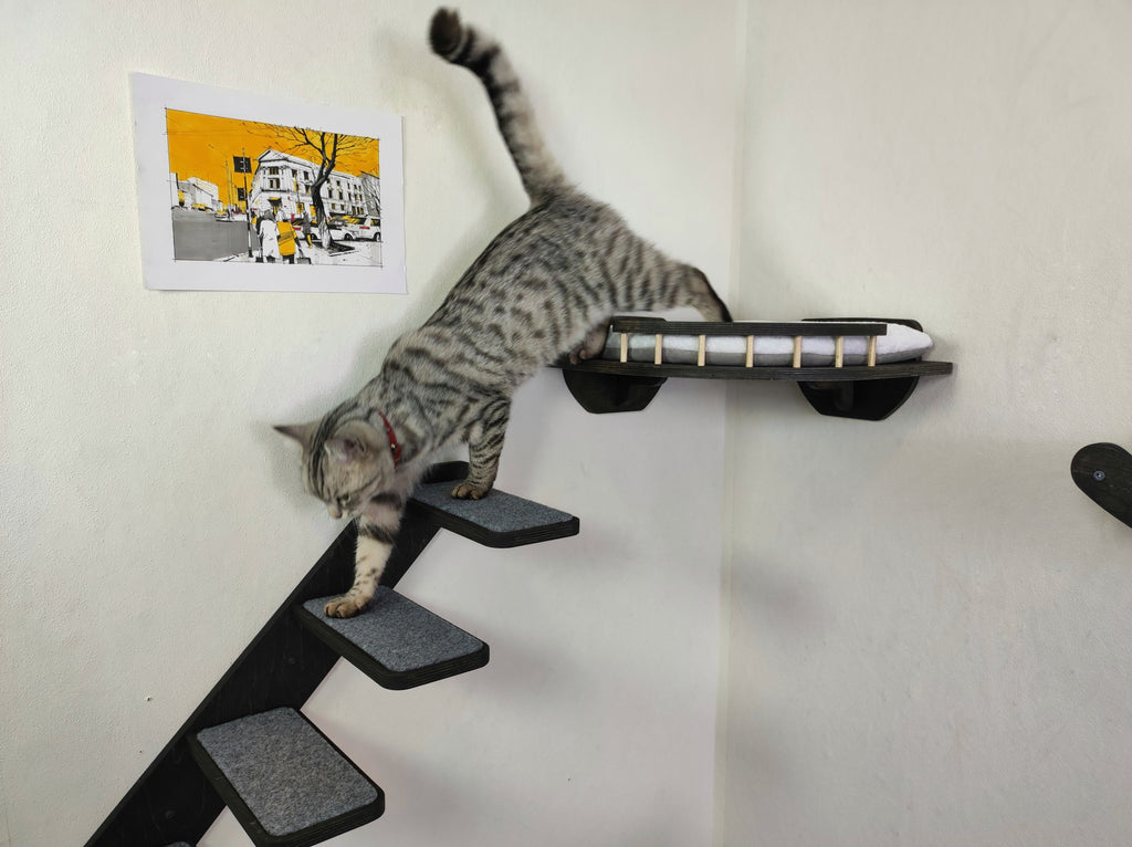 Cat Wall Playground - Steps, Shelf & Climbing Wave