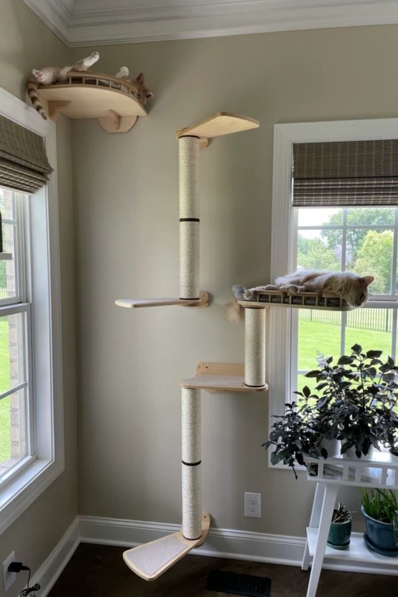 Rotating Window Cat Tree "Snake" �?Durable Wall Mounted Cat Furniture