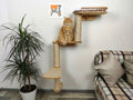 Vertical Сat Climbing System "Snake"