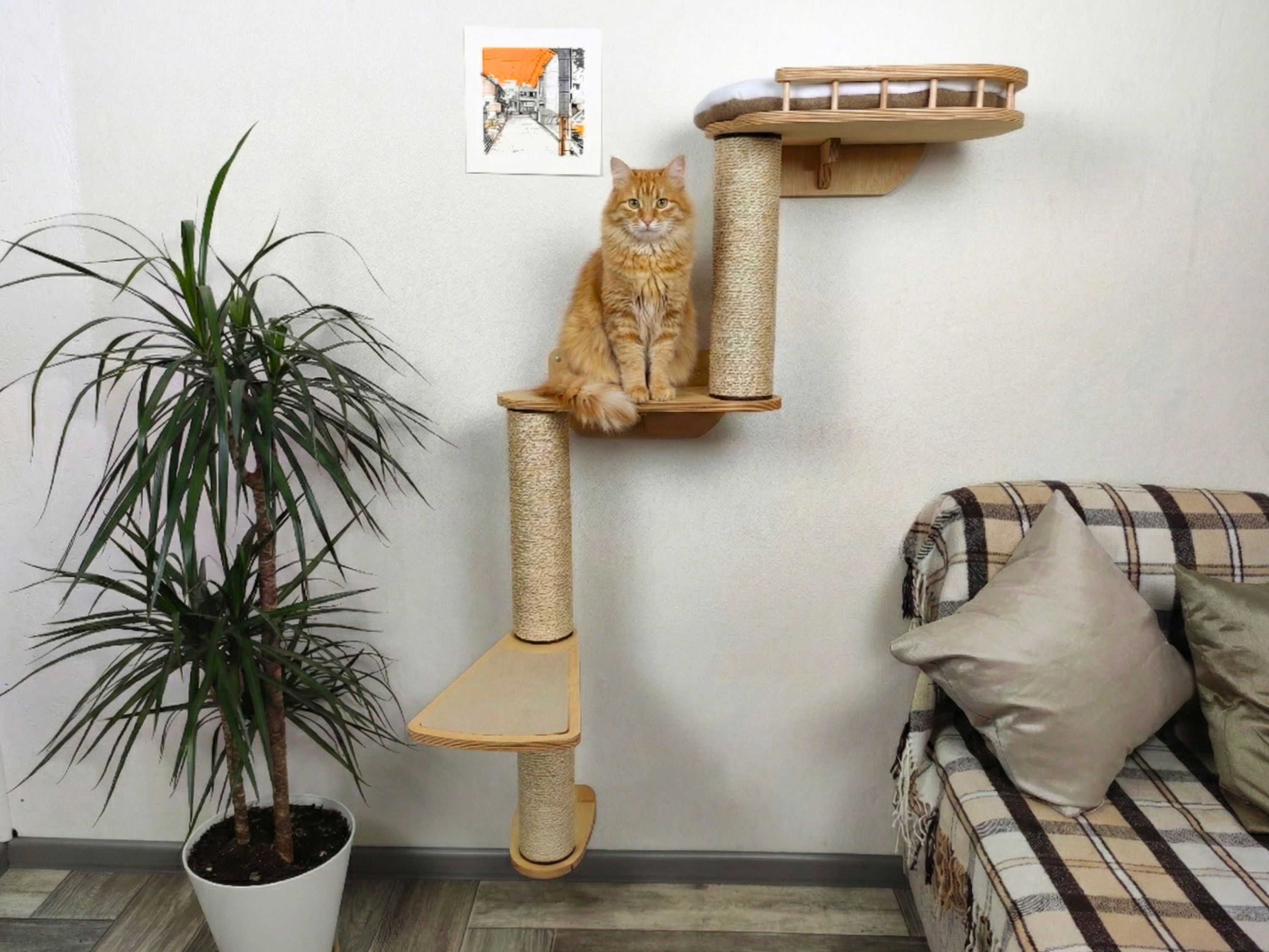Vertical Сat Climbing System "Snake"