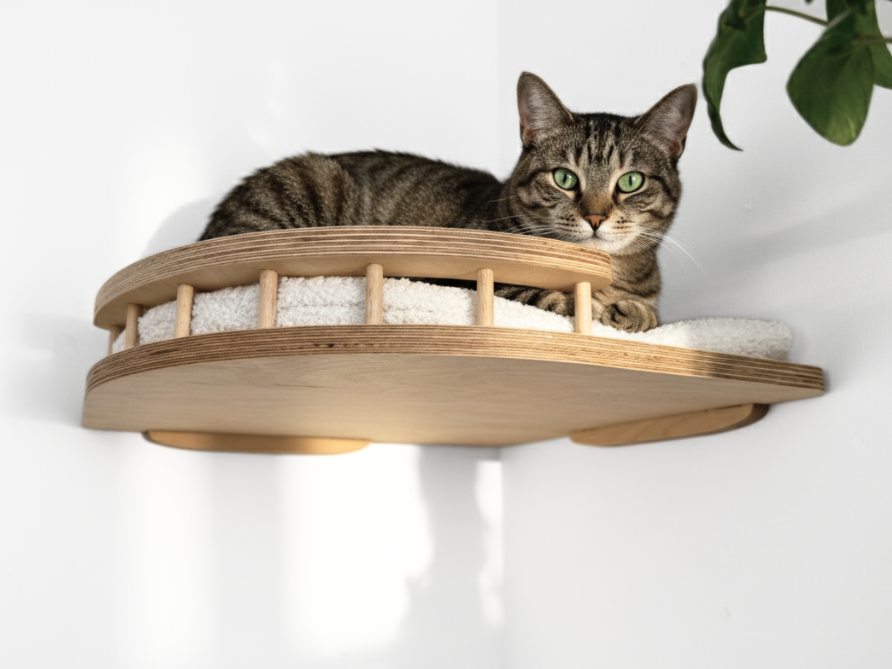 Corner Cat Wall Shelf with Soft Cushion